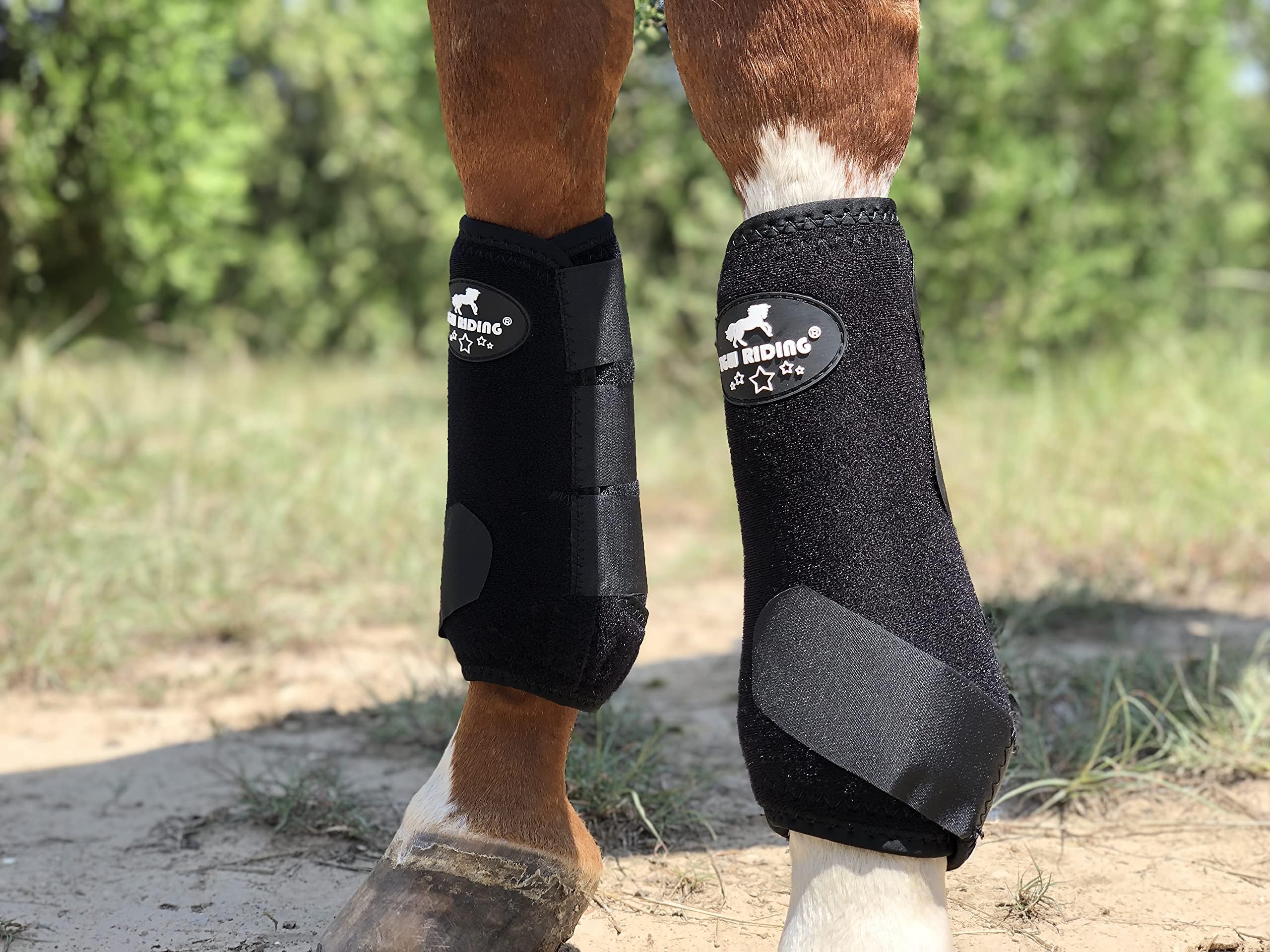 Tgw Riding Equine Sports Medicine Ventech Elite Front Leg Boot, Pair (Black, S)