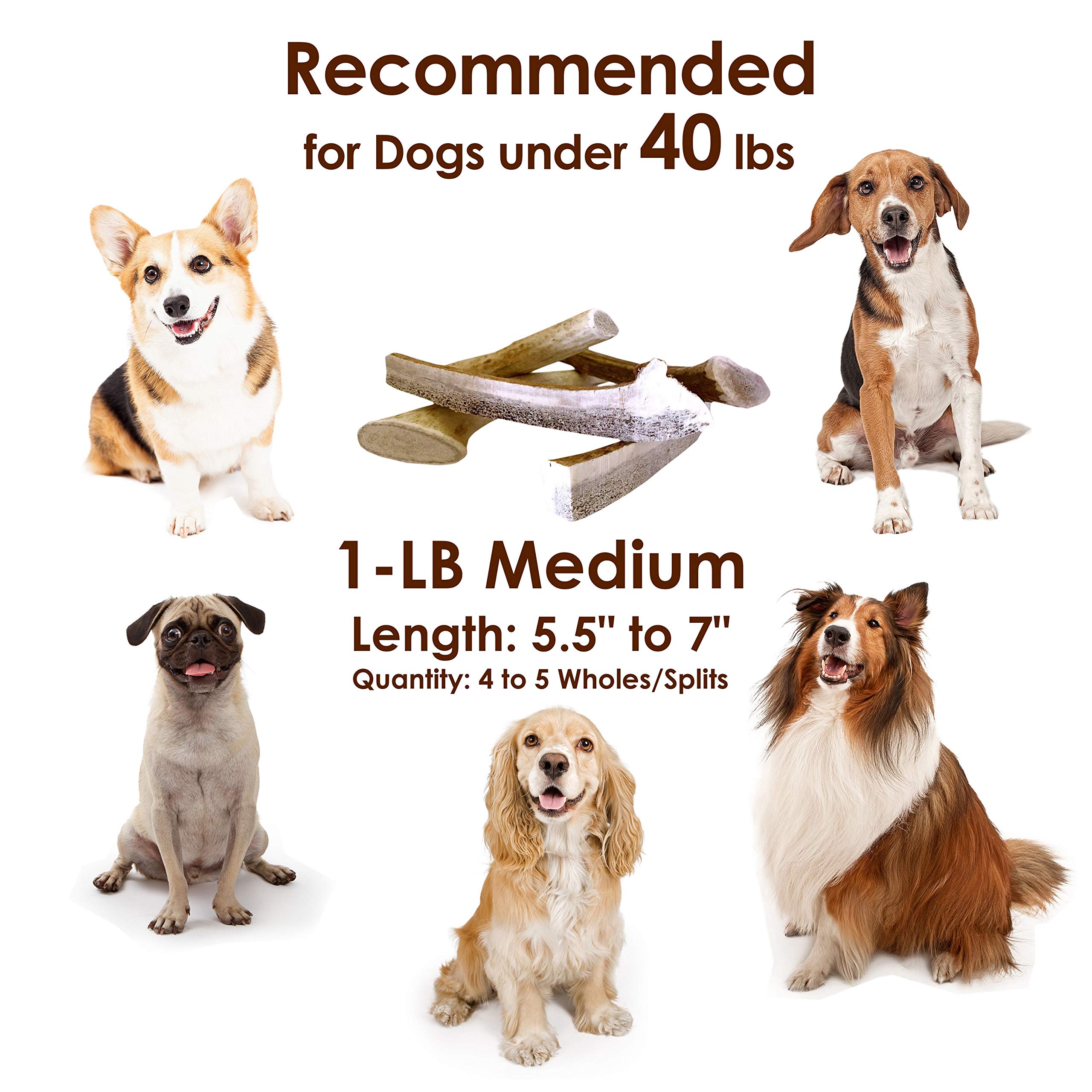 Deluxe Naturals Elk Antler Chews for Dogs | Naturally Shed USA Collected Elk Antlers | All Natural A-Grade Premium Elk Antler Do