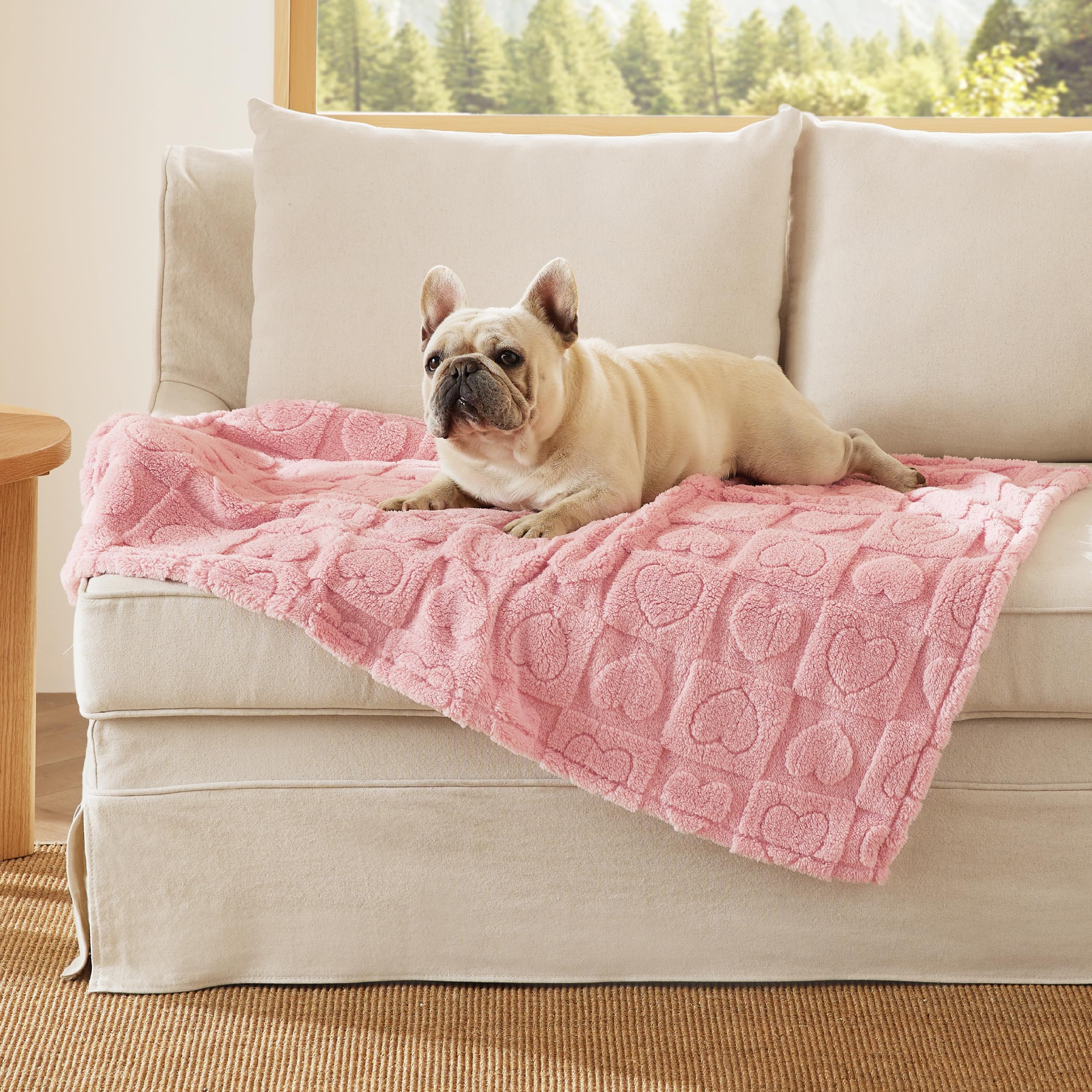 Bedsure Dog Blanket For Medium Dogs Washable - Fluffy Fuzzy Puppy Cat Blanket With Premium 300Gsm Coral Fleece Soft For Pet Kitt