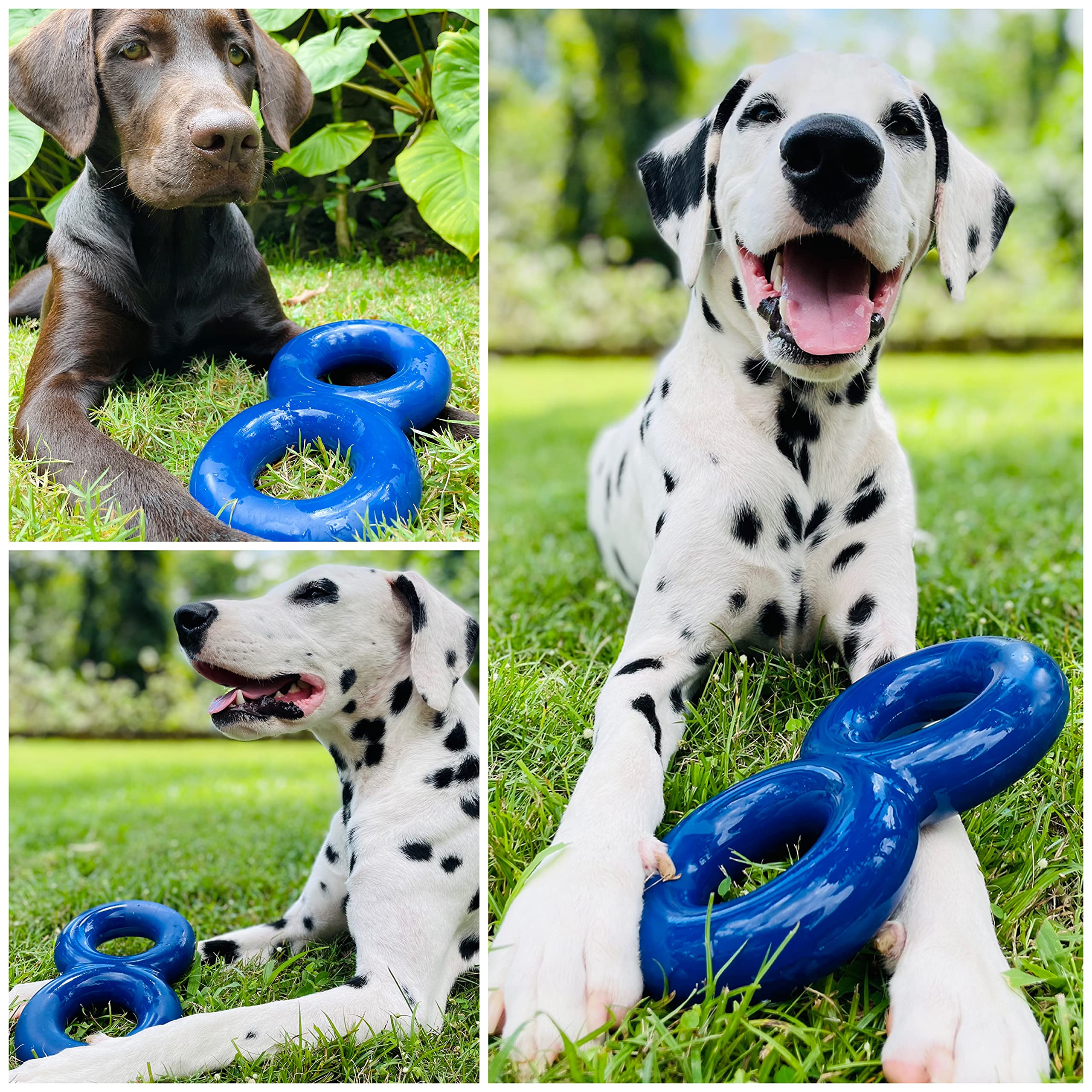 Superchewy Tough Dog Double Ring Toy Strong Natural Rubber | Great Dog Pull Toy For Exercise | Tug Toy For Dogs | Ultra Durable Chew Toy For Aggressive Chewers