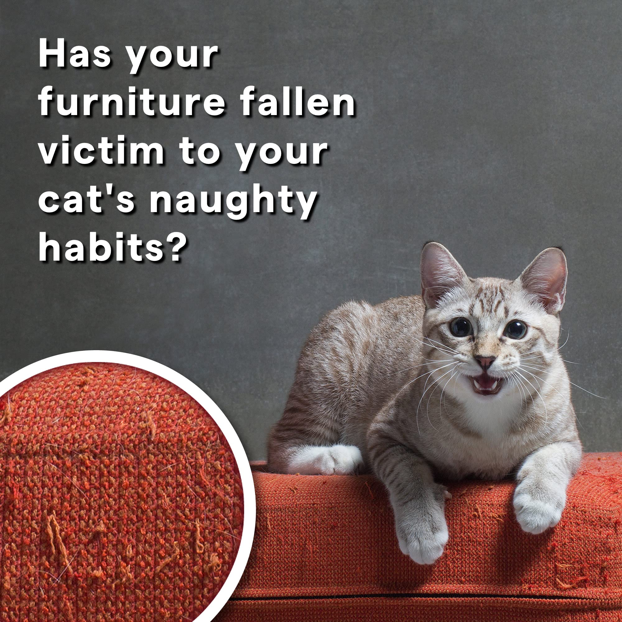 SHINY PET Green Pet Nail Clippers - Professional Claw Trimmer for Small Animals, Cats, Dogs, Bunnies, Kittens & More - Grooming Tool