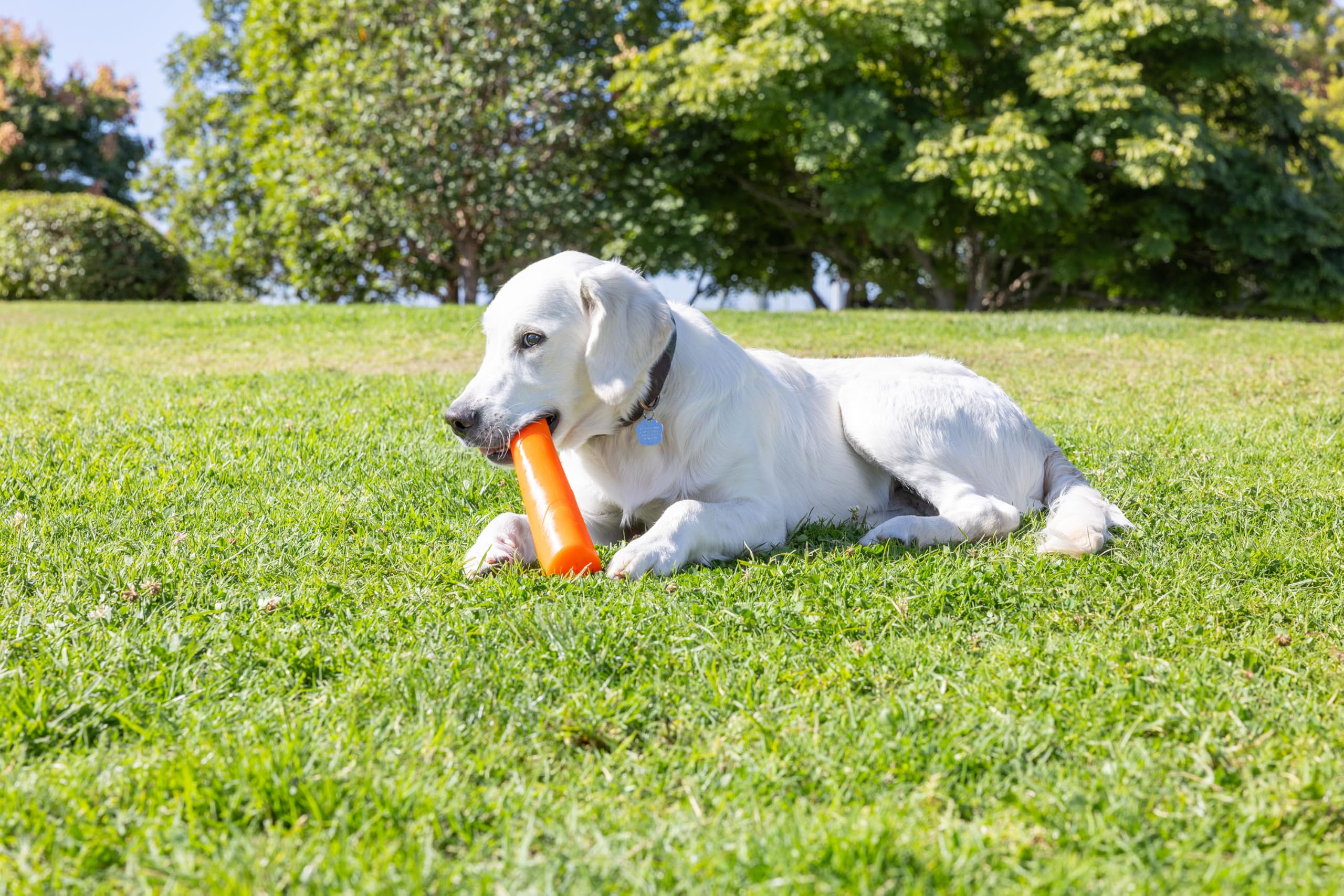 Chuckit! Super Crunch Fetch Stick Dog Toy, 9.2 Inches In Length, Medium-Large, For Breeds 20-100 Lbs