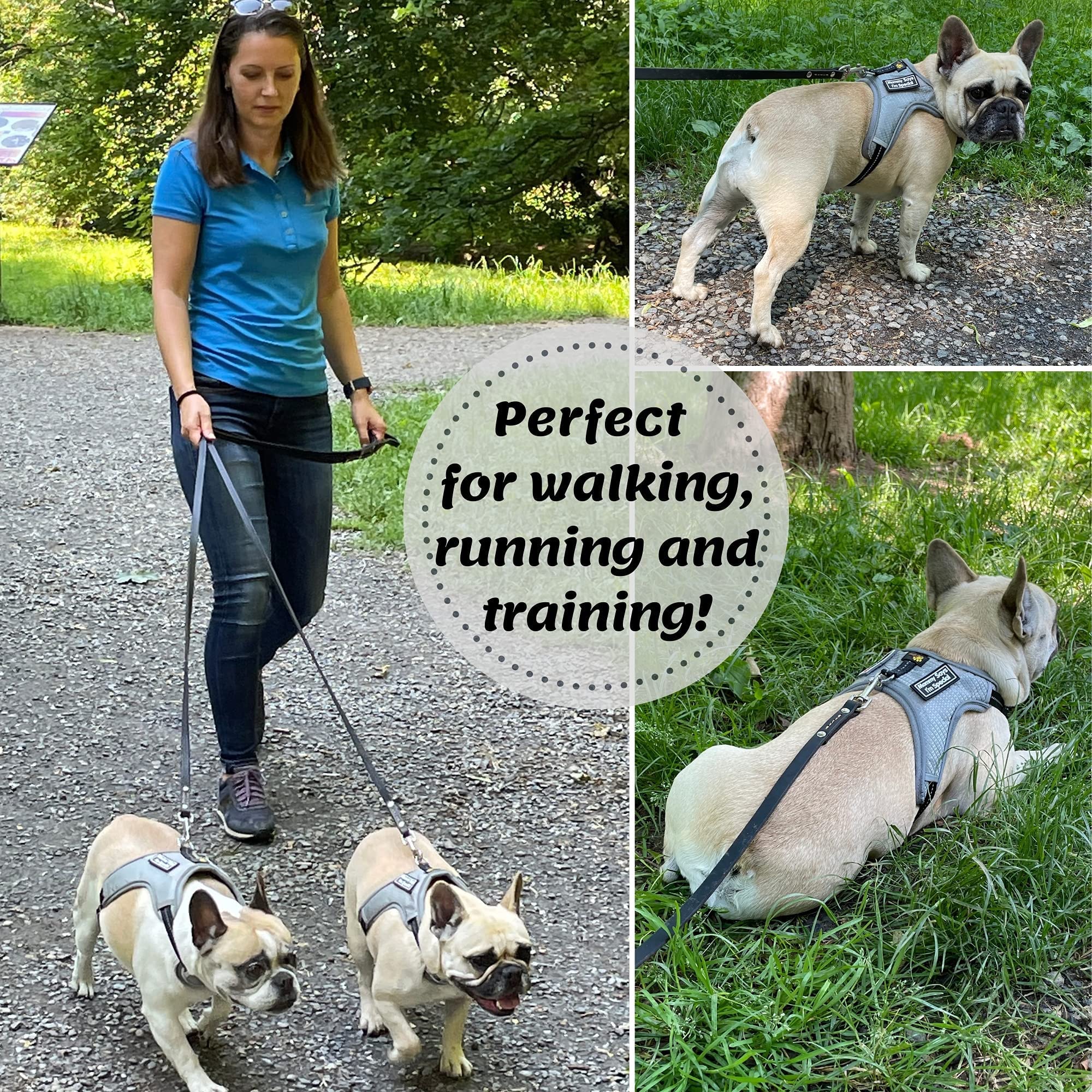 Adityna - Premium Leather Dog Leash - 6 Ft, Heavy-Duty, Soft & Strong For Small/Medium Dogs (Small: 6 Ft X 1/2', Black)