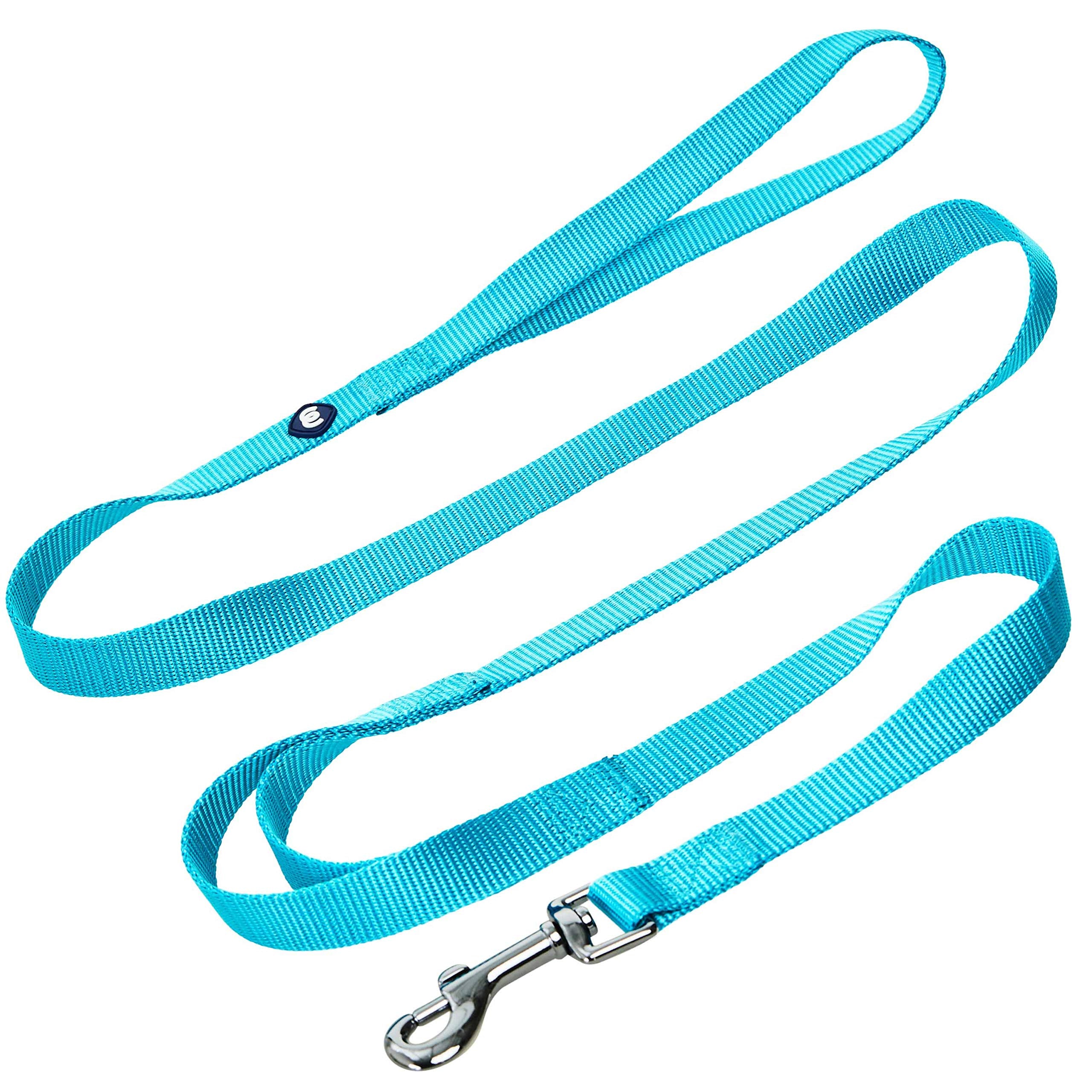 Blueberry Pet Essentials Durable Classic Dog Leash 5 Ft X 5/8', Turquoise, Small, Double Handle Leashes For Dogs