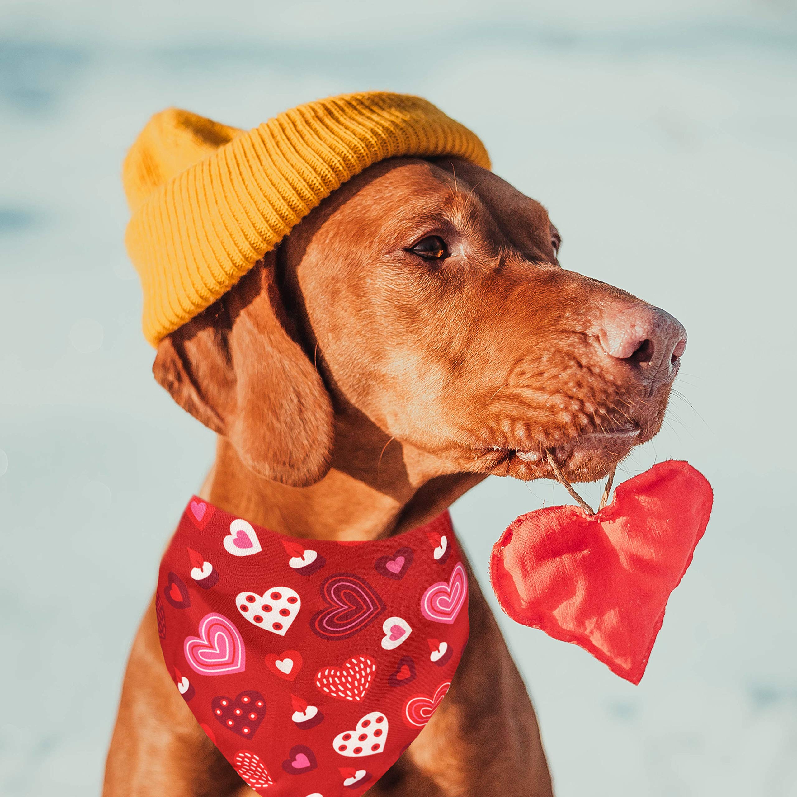 Pohshido 2 Pack Valentine'S Dog Bandana, Holiday Cat Bandana Scarfs For Small Medium Large Dogs Cats Pet Puppies (Candy Hearts-S