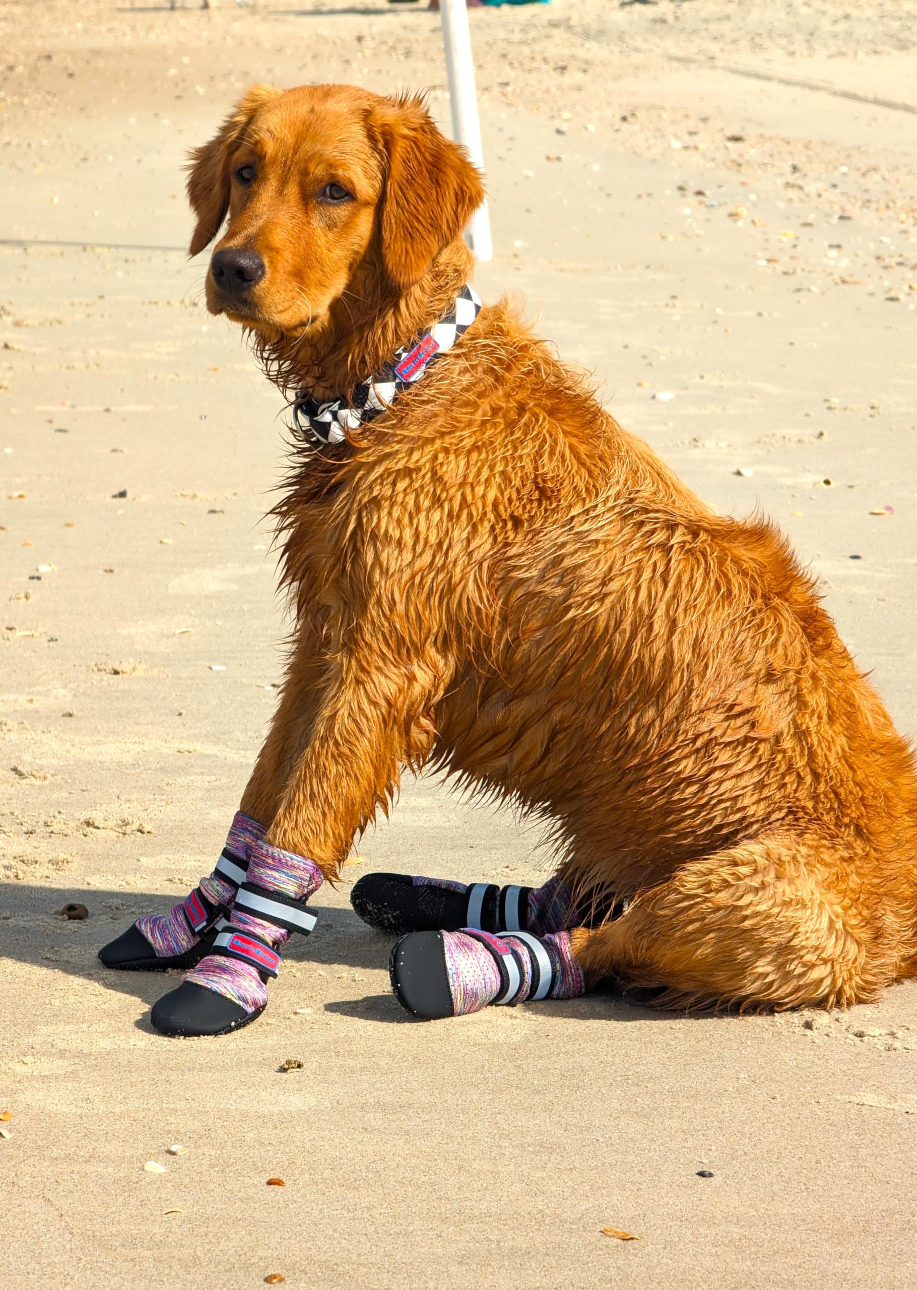 Bark Brite Lightweight Neoprene Paw Protector Dog Boots Designed For Comfort And Breathability In 5 Sizes (Lavender Lg)