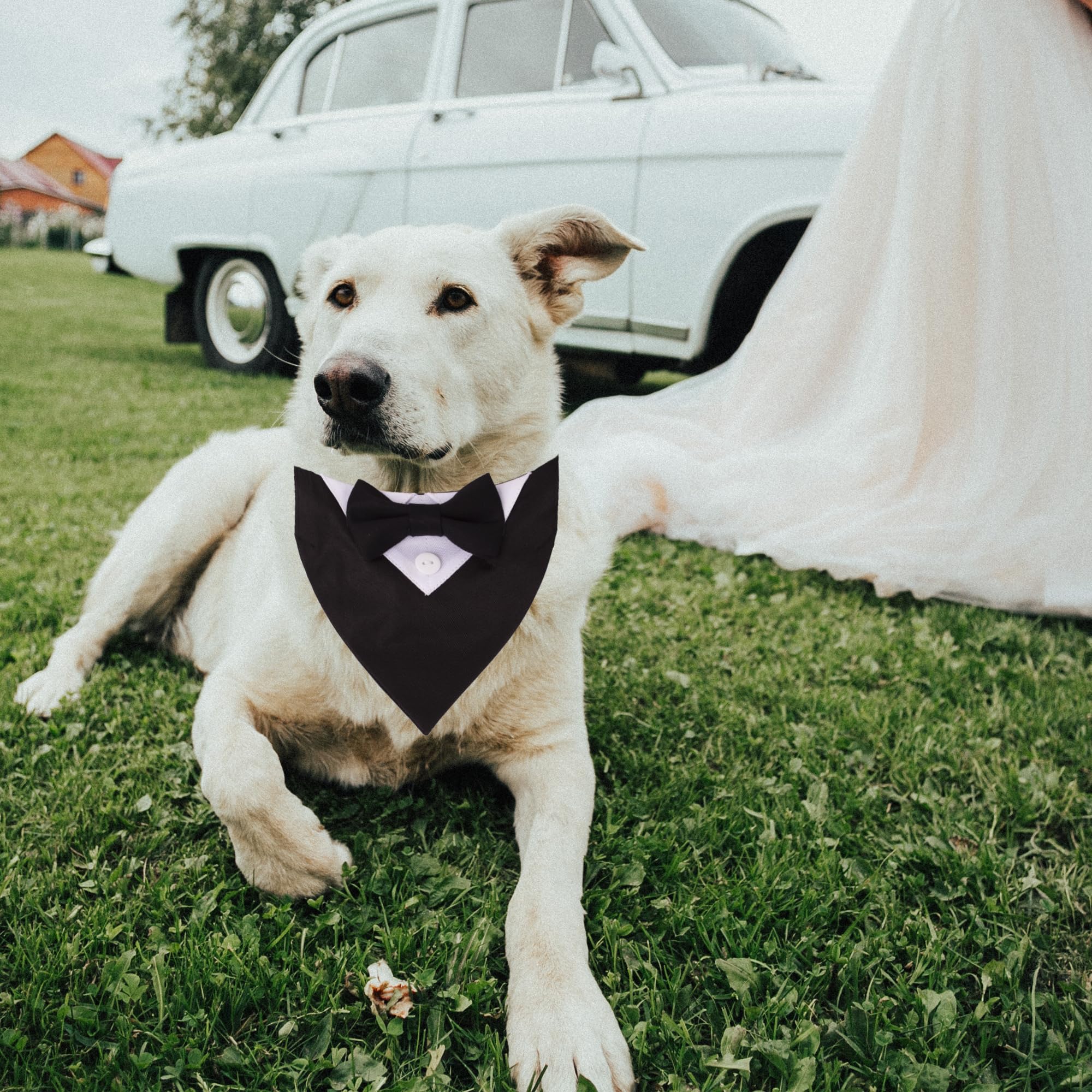 ADOGGYGO Formal Dog Tuxedo, Wedding Dog Collar with Bow Tie, Adjustable Pet Wedding Collar Bandana for Small Medium Large Dogs (