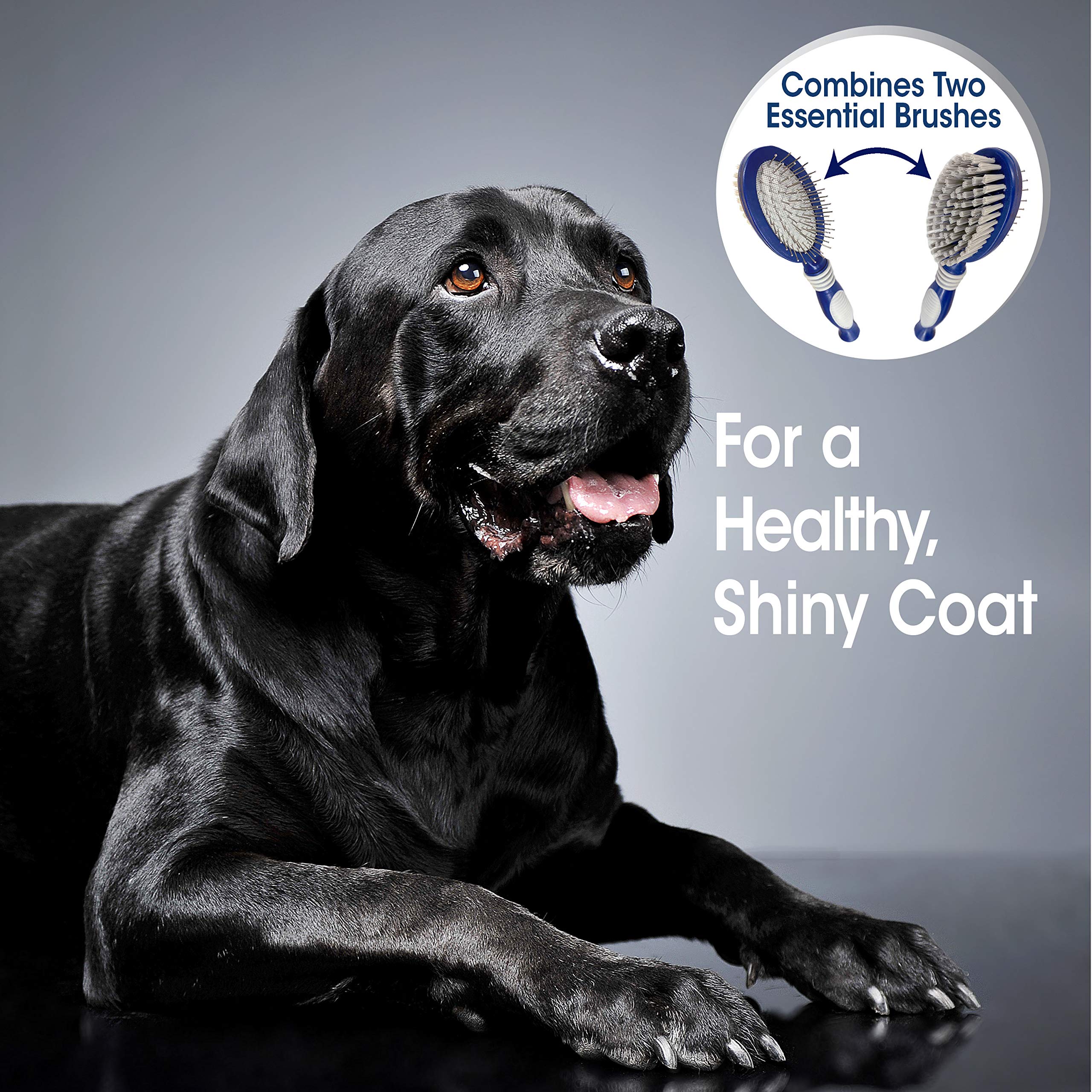 Four Paws Magic Coat Professional Series Grooming Brushes For Dogs & Cats, Trimmers, Nail Clippers & Brushes, Suitable For All Breeds And Coat Types