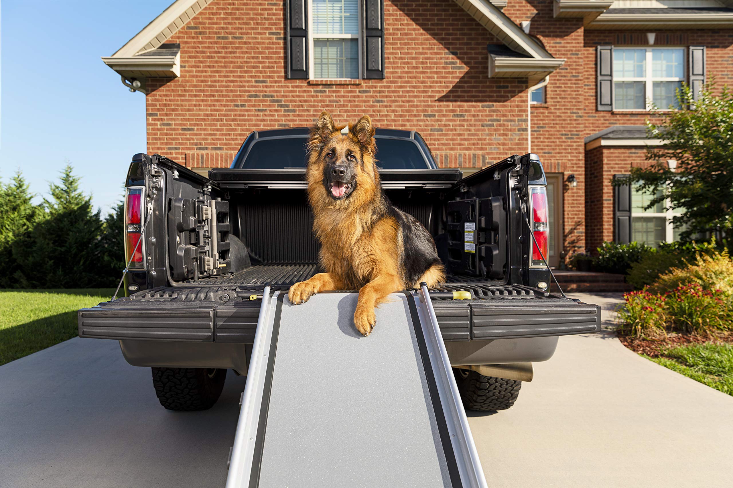 Petsafe Happy Ride Dog Ramp For Cars And Trucks, Pet Ramp For Large Dogs Telescoping Mechanism, Adjustable Sizing, Supports Up To 300 Lb, Lightweight And Portable, Dog Ramp For Truck (Gray)