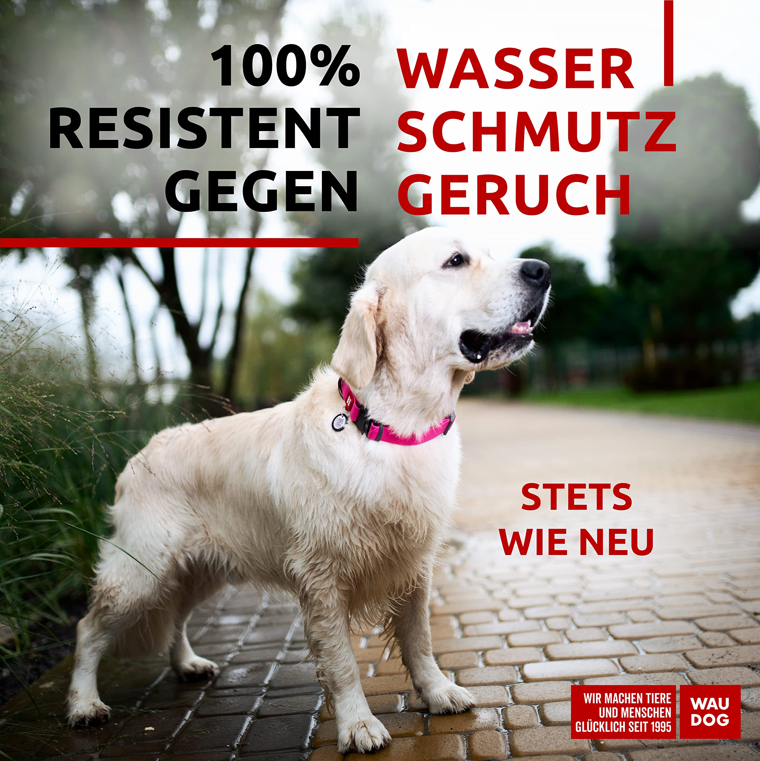 Waudog Waterproof Dog Collar - Adjustable Dog Collar For Large Dogs, Small And Medium Dogs - Heavy Duty Dog Collars With Durable