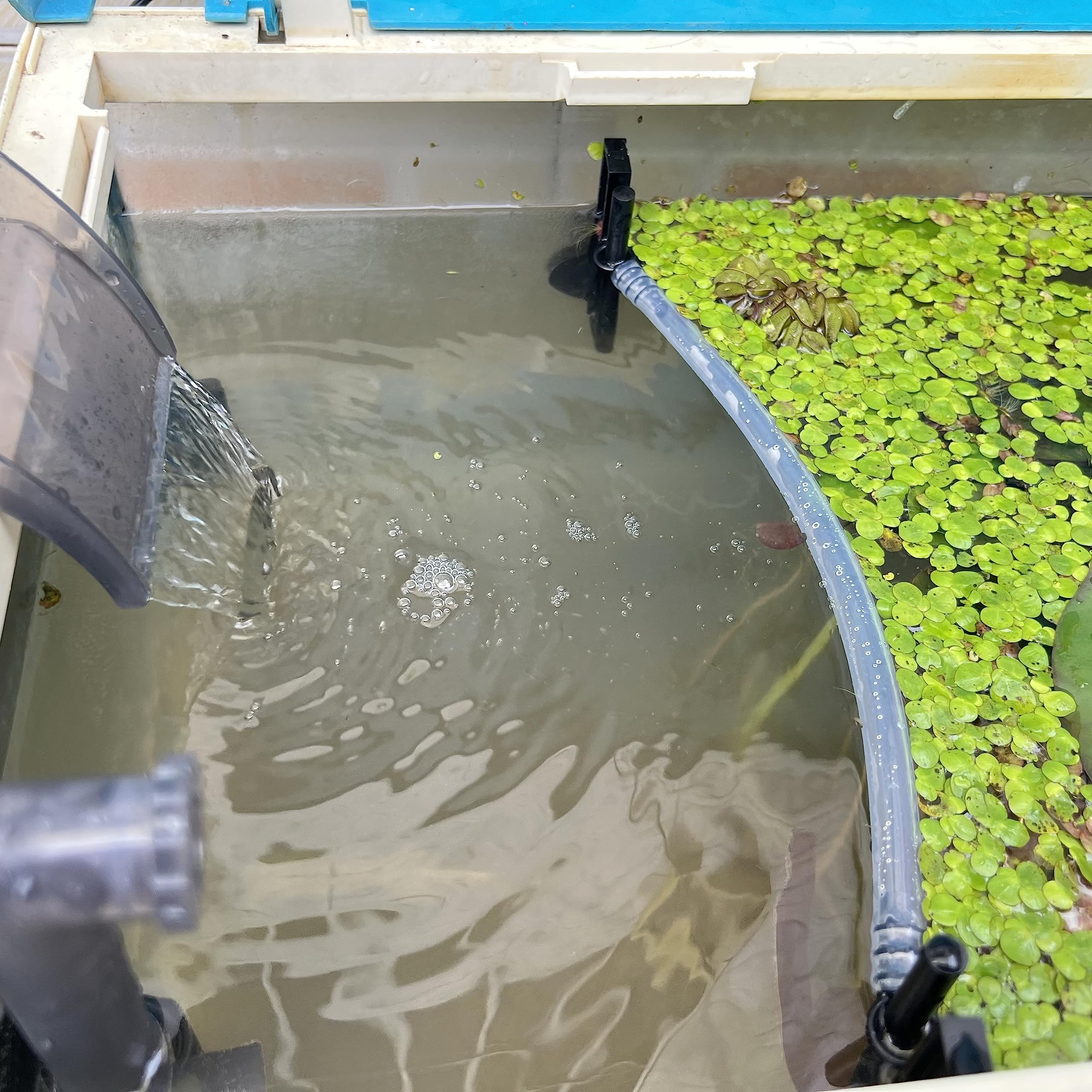 HOZOE Floating Plant Fence for Aquarium, Separates Plants, Automatically Adjusts Height with Water Level, Suitable for Most Aqua