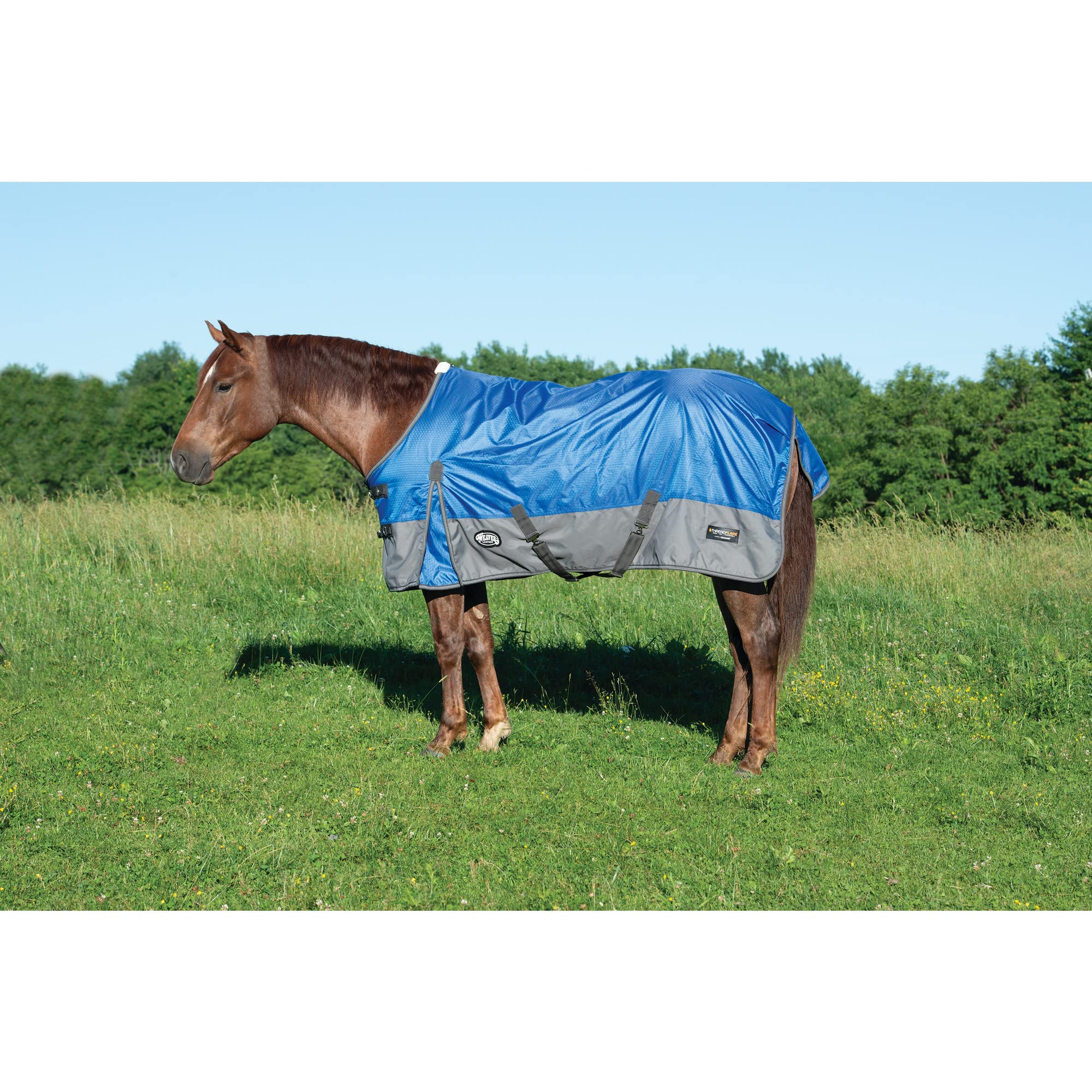 Weaver Leather Turnout Horse Blanket, Threadflare, 1200D, Dazzing Blue 84