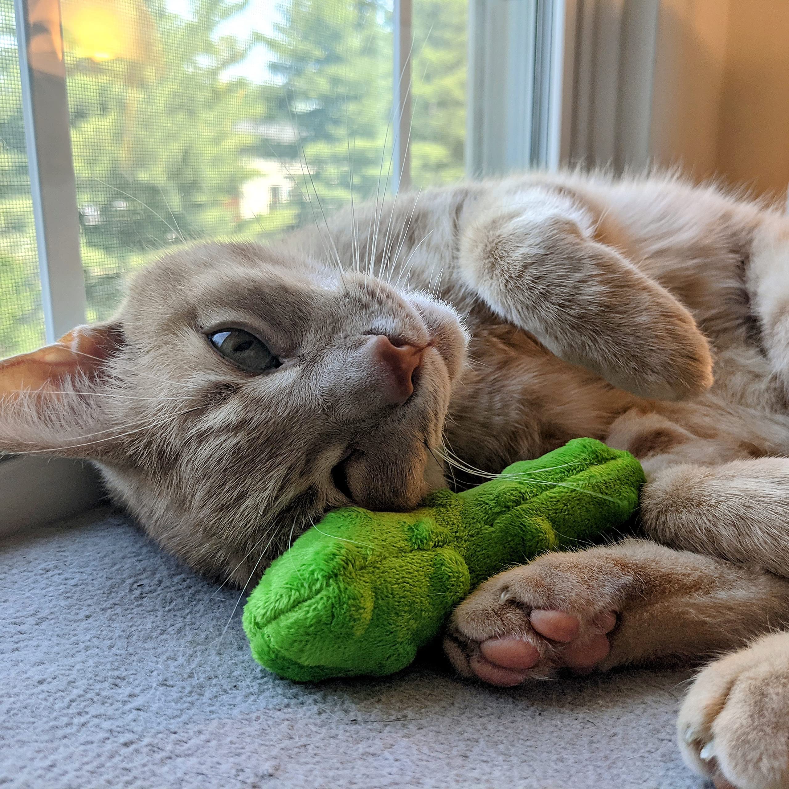 Huxley & Ket Plush Cat Toy | Pickle | Snack Attack Strong Catnip Filled Cat Toy | Plush Interactive Kitten And Cat Toy With Catnip And Crinkle | Kittybelles