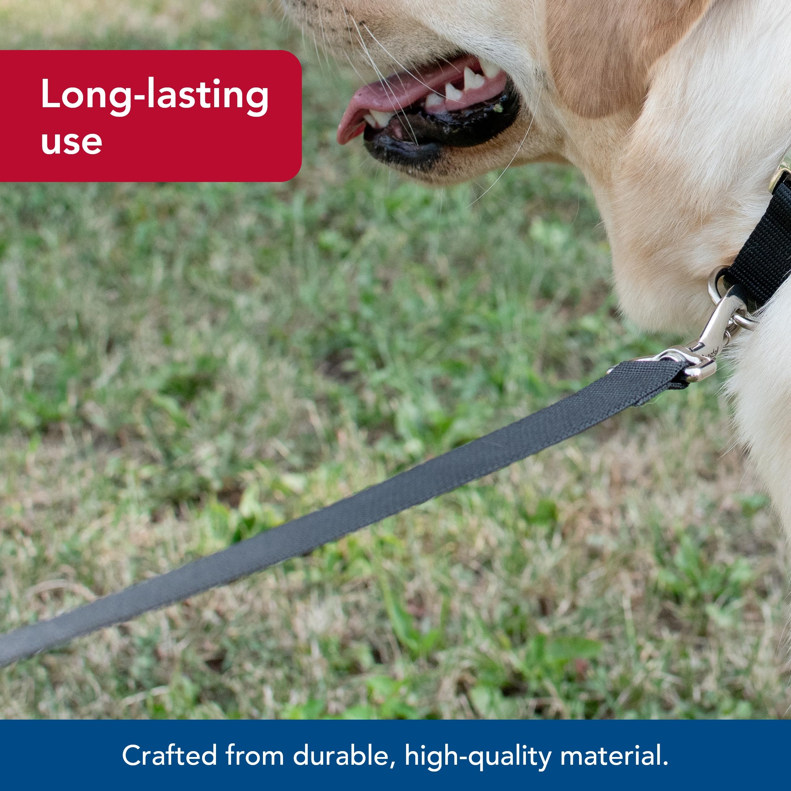 Coastal Pet Single-Ply Dog Leash - Sturdy Pet Leash - Comfortable & Stylish - Resists Fraying - Vibrant & Fade-Resistant Color - Black, 3/4' X 6'