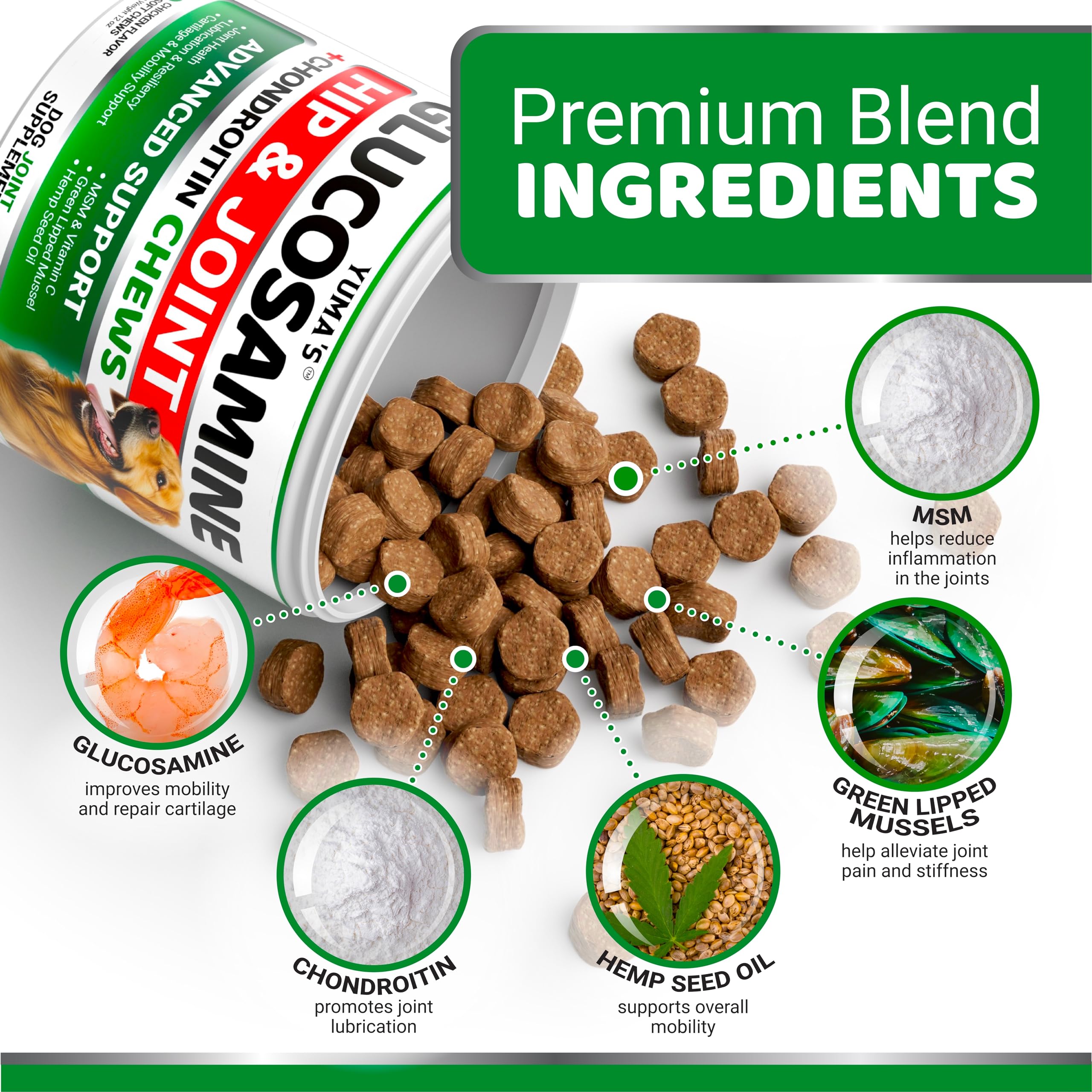 YUMA S Glucosamine for Dogs - Hip and Joint Supplement for Dogs - 170 Ct - Glucosamine Chondroitin Chews - Joint Pain Relief Su