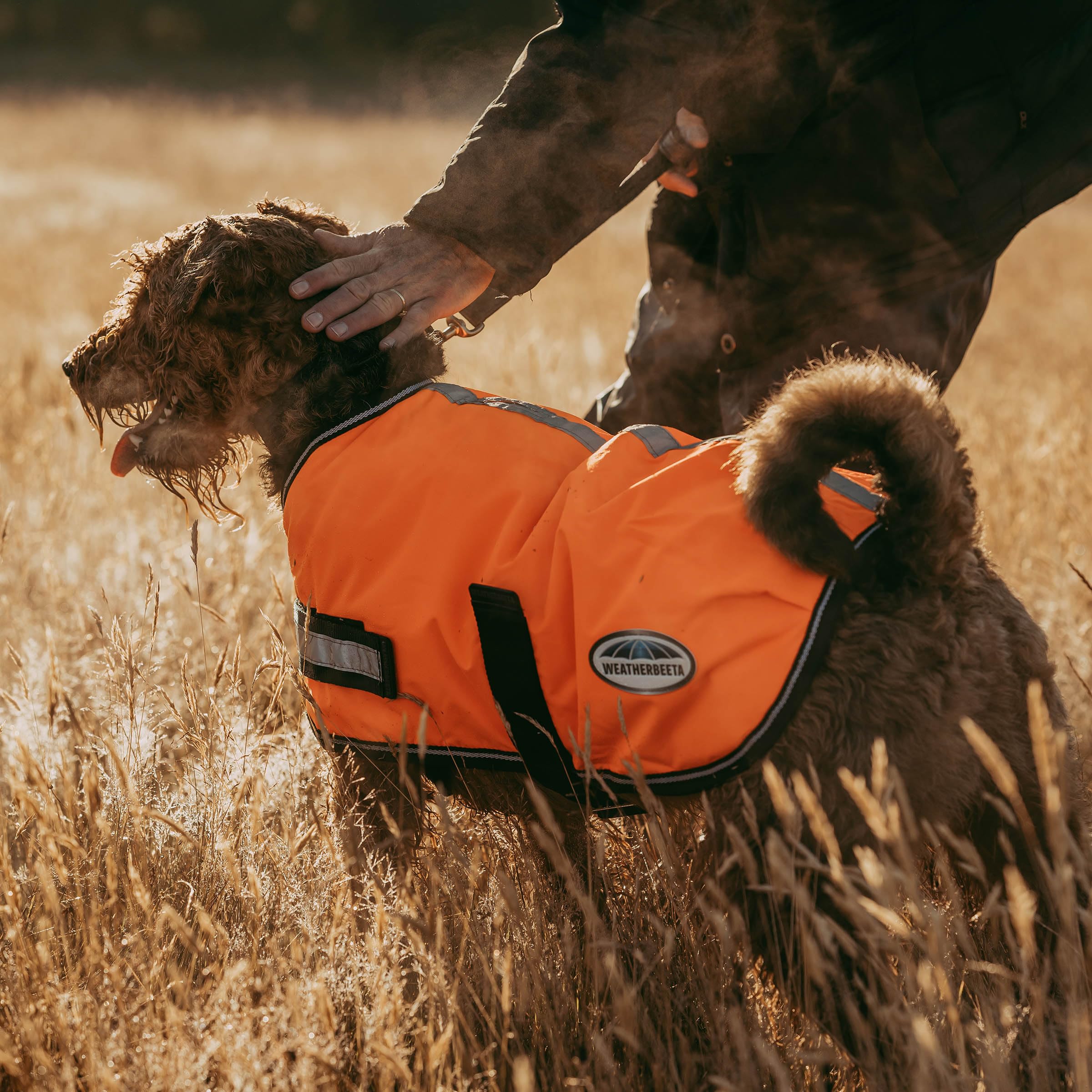Weatherbeeta Comfitec Reflective Parka 300D Dog Coat, Orange, 26'
