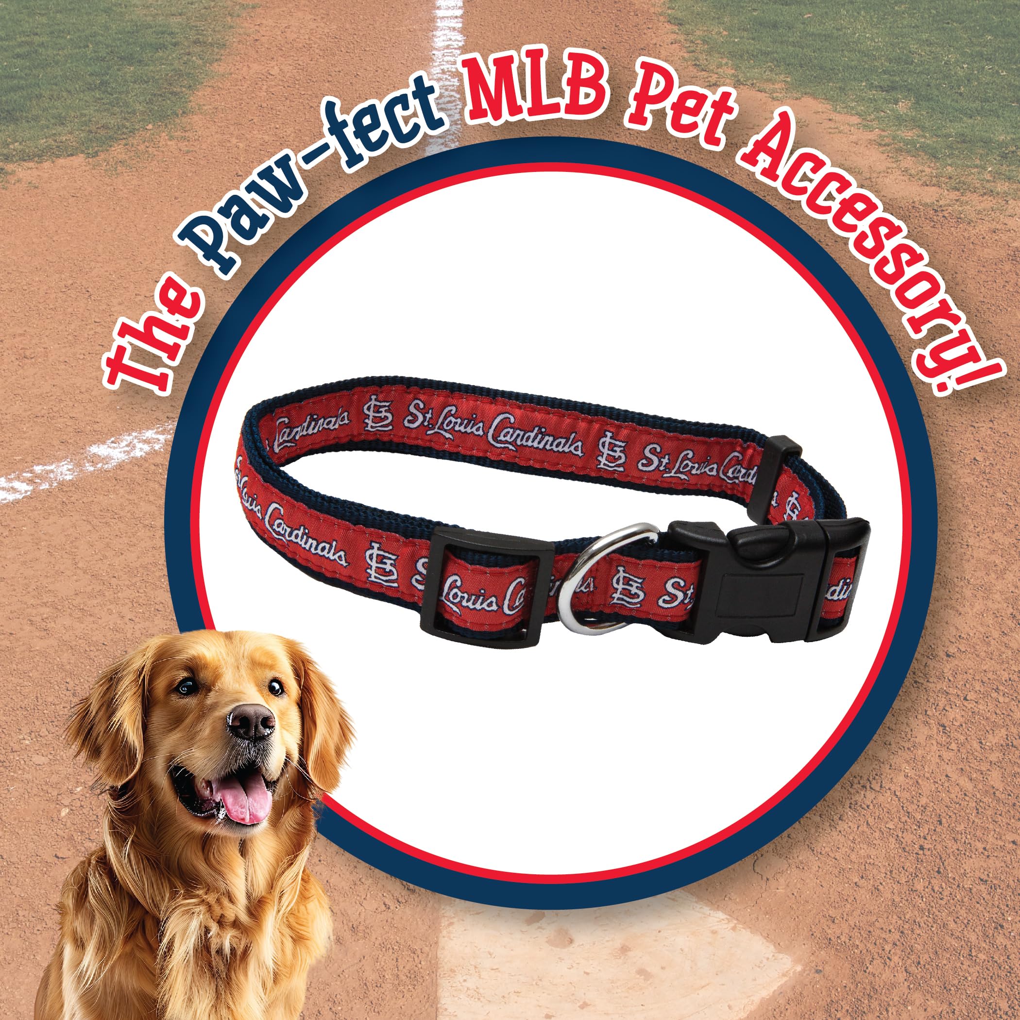 MLB St. Louis Cardinals Licensed PET COLLAR- Heavy-Duty, Strong, and Durable Dog Collar. Available in 29 Baseball Teams and 4 Si