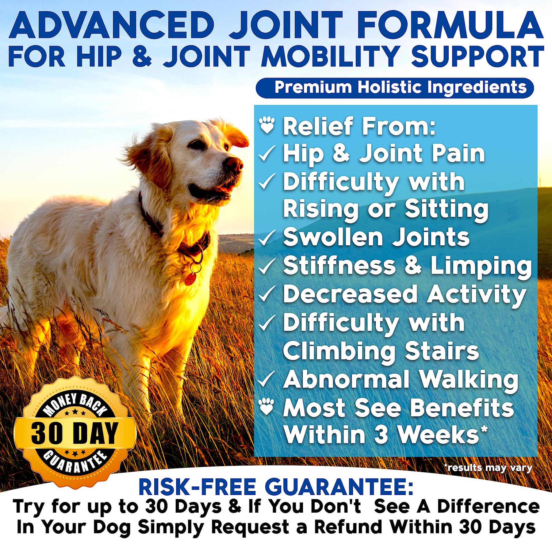 Well Loved Glucosamine for Dogs - Joint Supplement for Dogs, Made in USA, Vet Developed, Glucosamine Chondroitin, Hip and Joint
