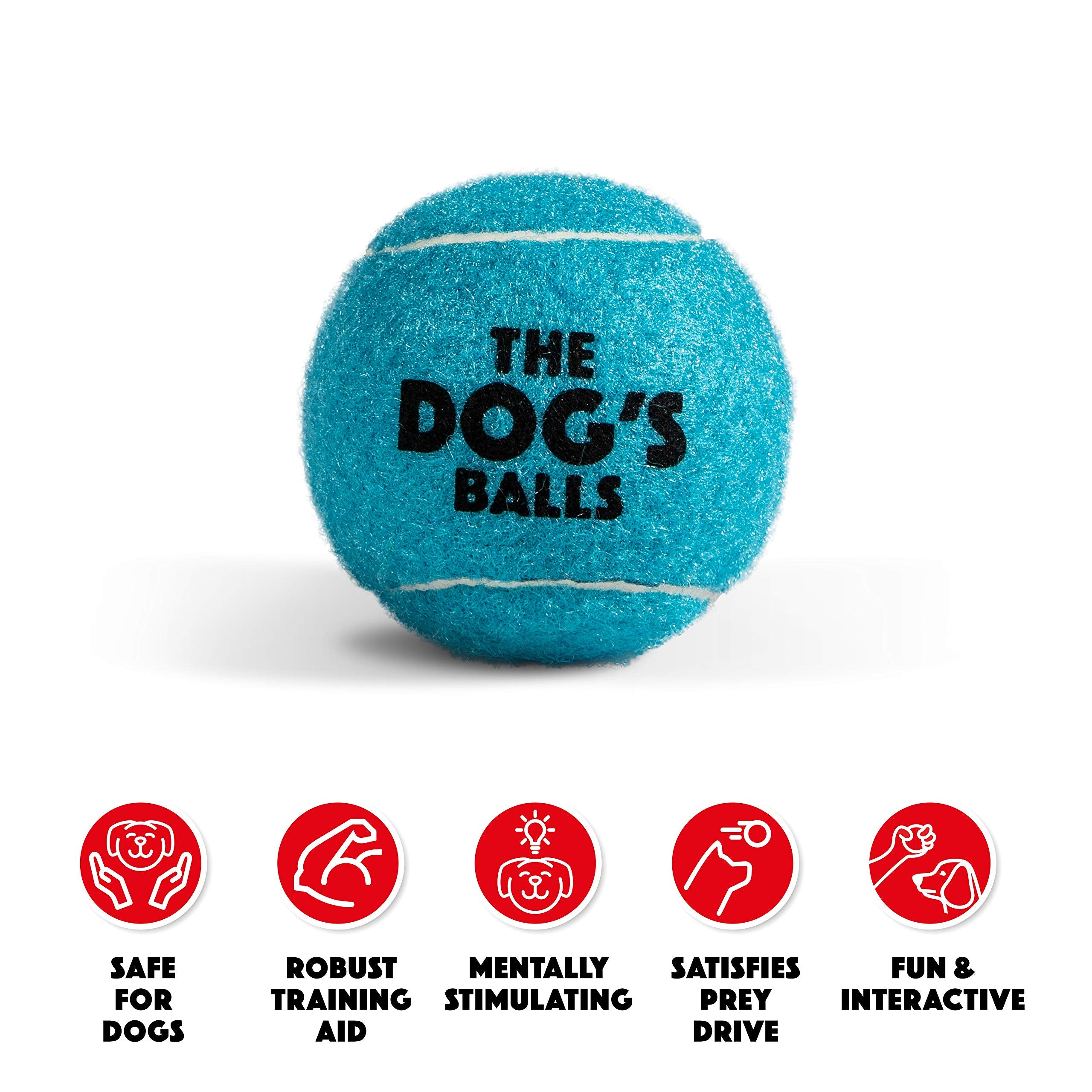 The Dog'S Balls, Dog Tennis Balls, 12-Pack Blue Dog Toy, Strong Dog & Puppy Ball For Training, Play, Exercise & Fetch