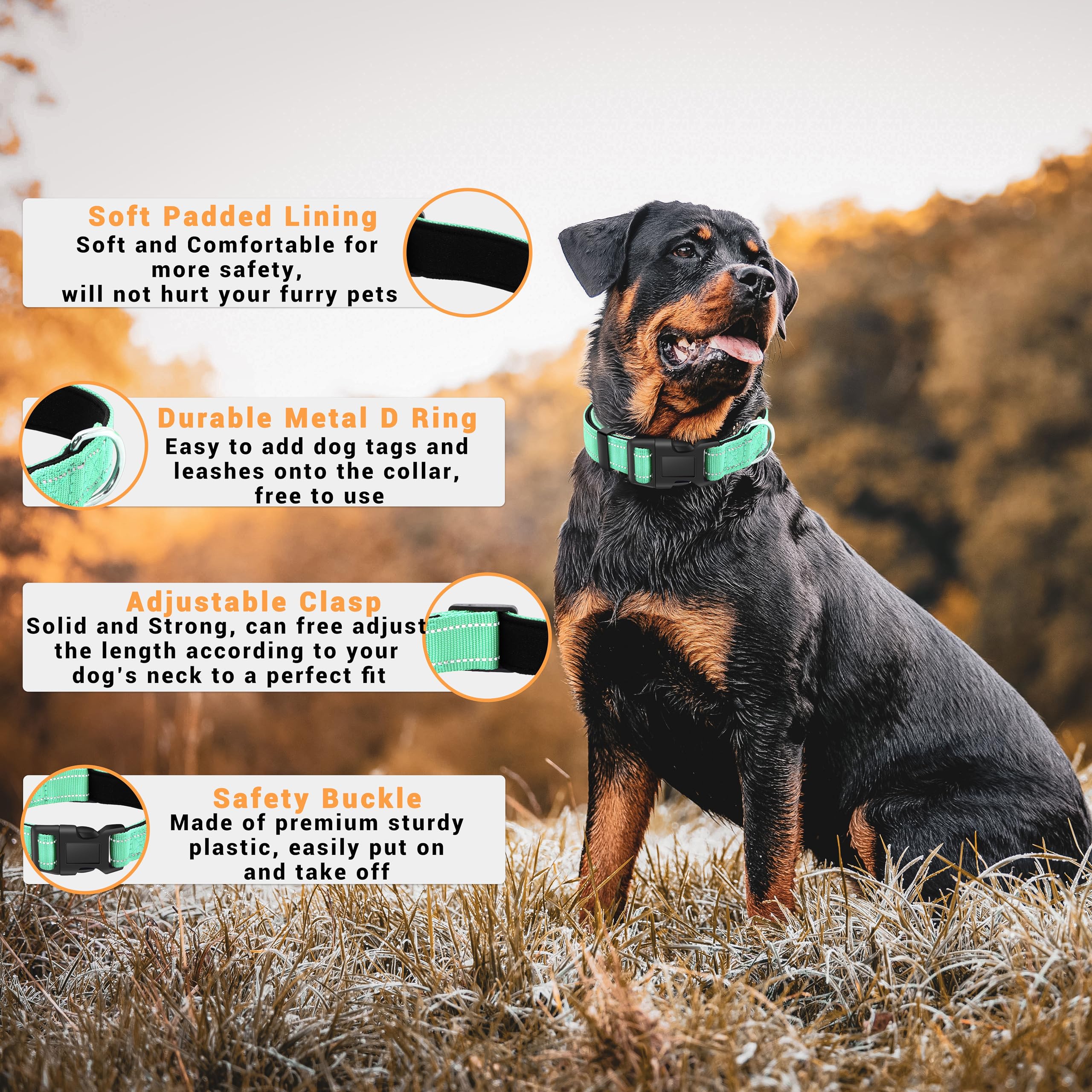 Lievuiken 2 Pack Reflective Dog Collar With Safety Locking Buckle, Adjustable Soft Breathable Comfortable Nylon Pet Collar For Small, Medium And Large Dogs, Turquoise, L