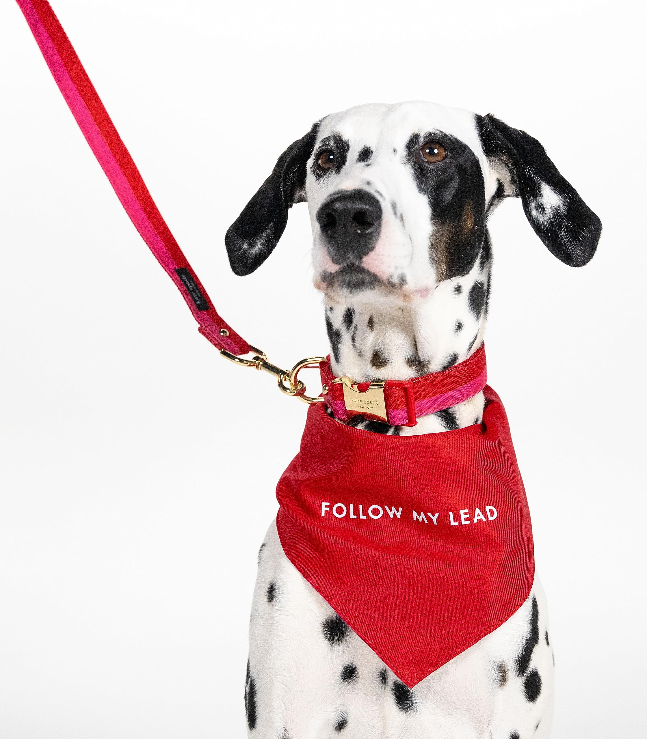 Kate Spade New York Pet Bandana For Boy Or Girl Dogs, Lightweight Bandana For Dog, Cute Dog Scarf For Medium Or Large Pets, Red