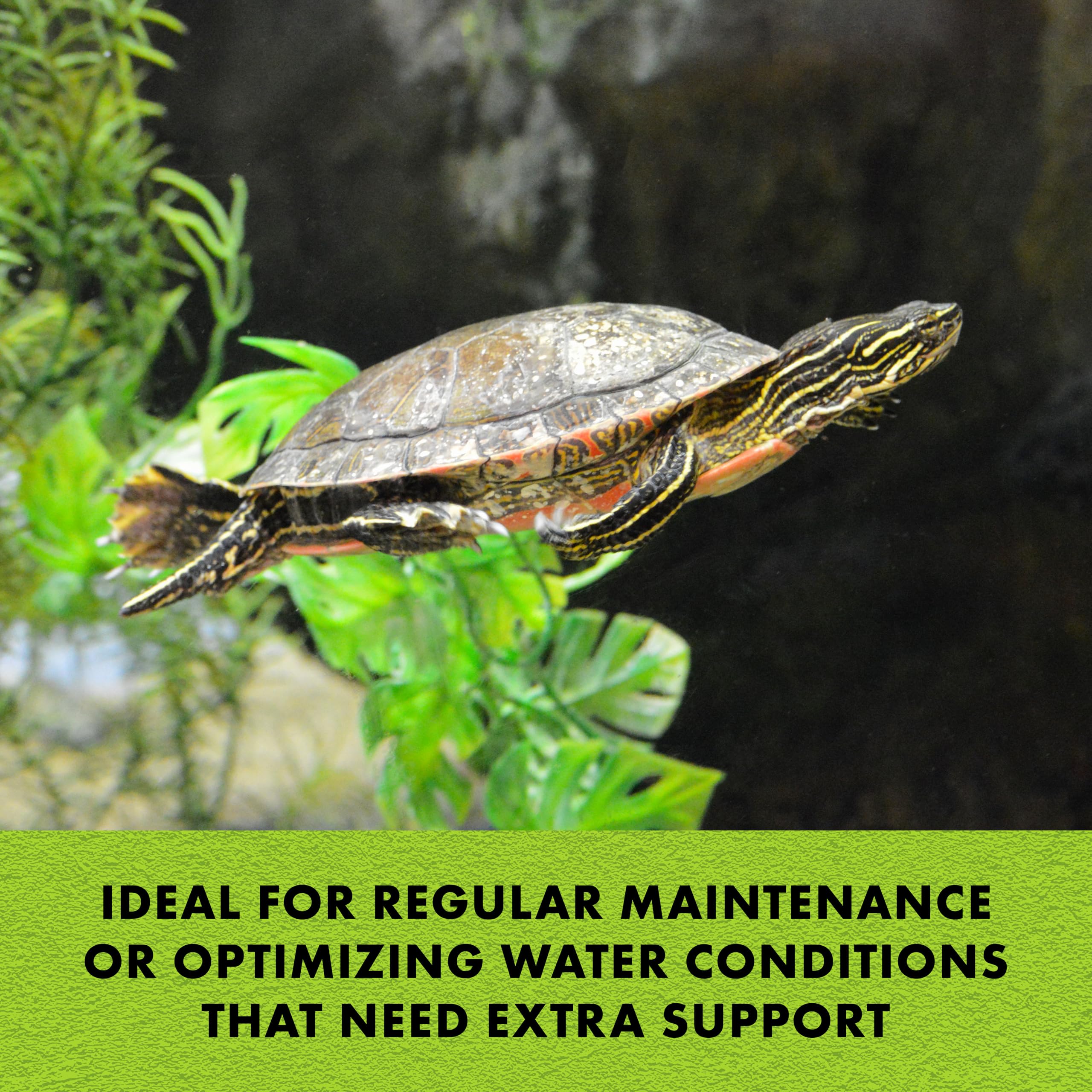 Zilla Pet Turtle Miracle Ball, Odor and Sludge Remover, for Cleaner and Healthier Turtle Habitats and Aquariums, Treats up to 50