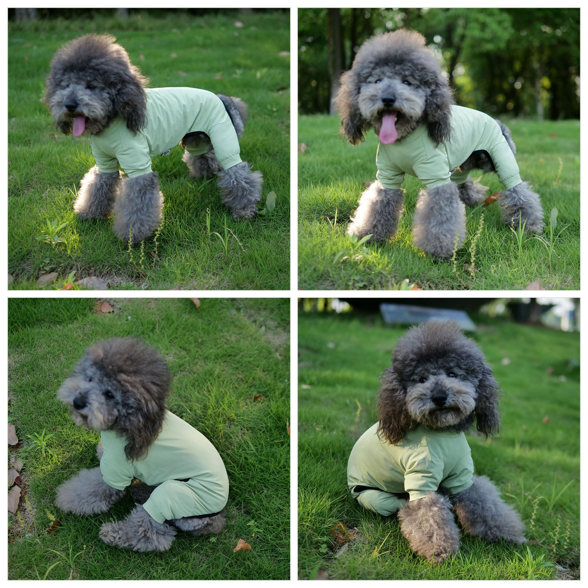 Lovelonglong Dog Jumpsuit With Uv Protection And Quick-Dry Fabric For Spring Summer Pet Pajamas Light Green 2Xl