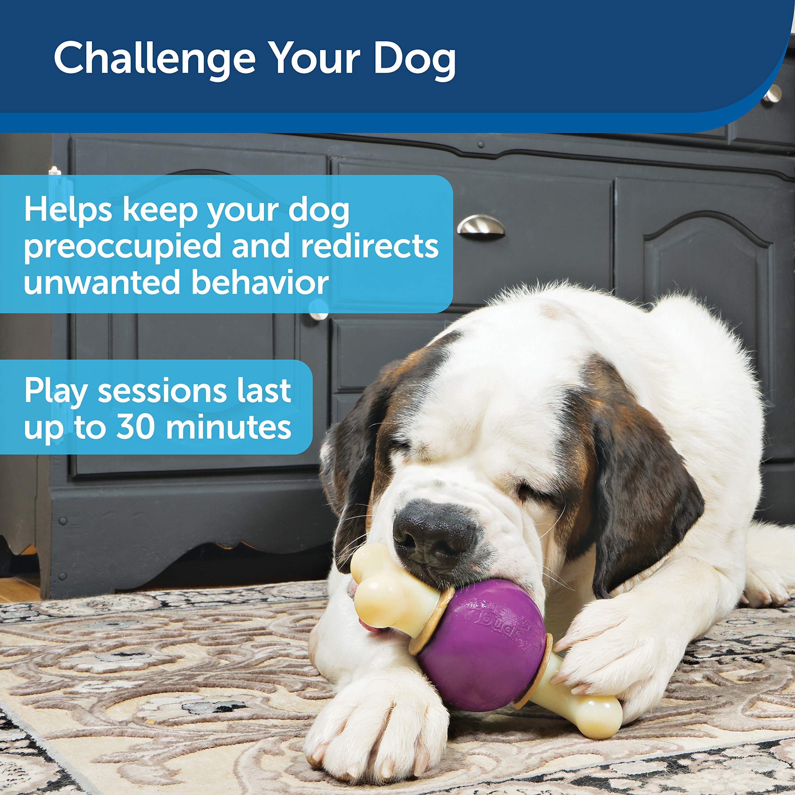 Petsafe® Busy Buddy® Bouncy Bone™, Treat Holding Dog Toy, Medium, Best For Dogs 10-50 Lb.