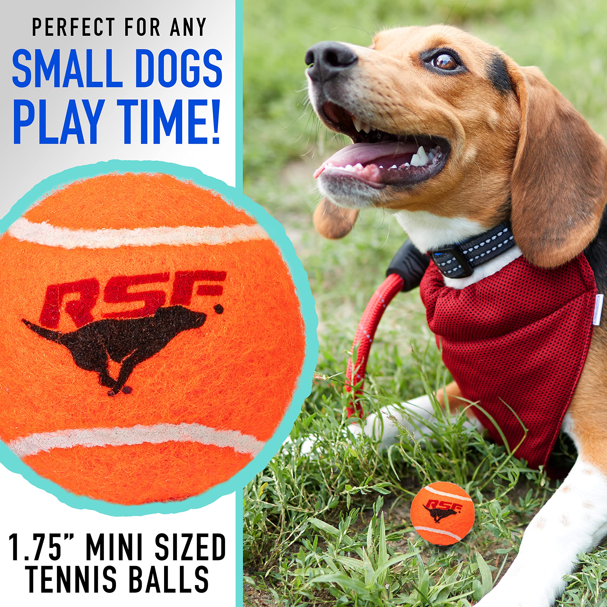 Franklin Pet Supply Co. RSF Squeak Mini 1.75'' Tennis Balls - 4 Pack - for Small Dogs - Floats in Water