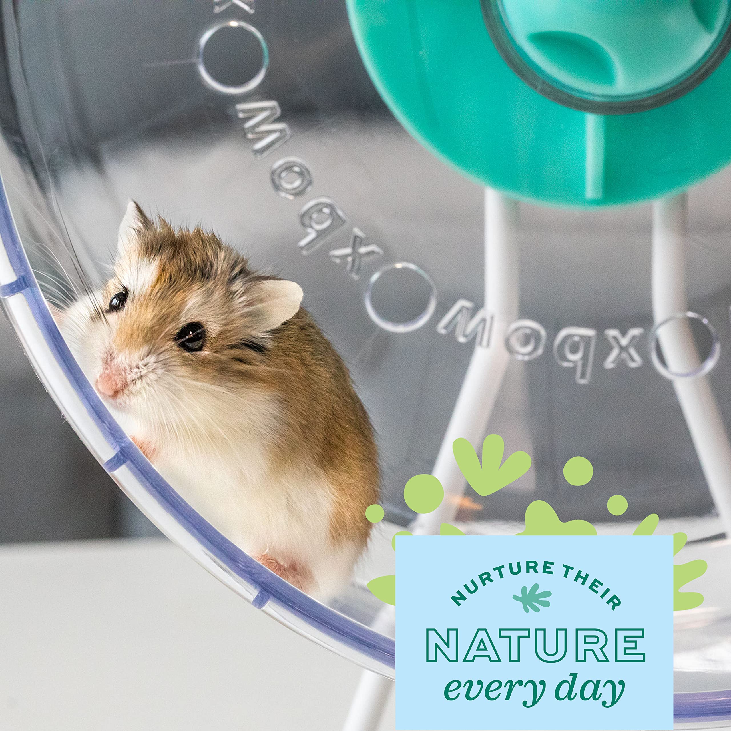 Oxbow Enriched Life Small Animal Accessories - Exercise Wheel For Dwarf Hamsters & Mice - 2 In 1 Quiet Runner - 8 Inch