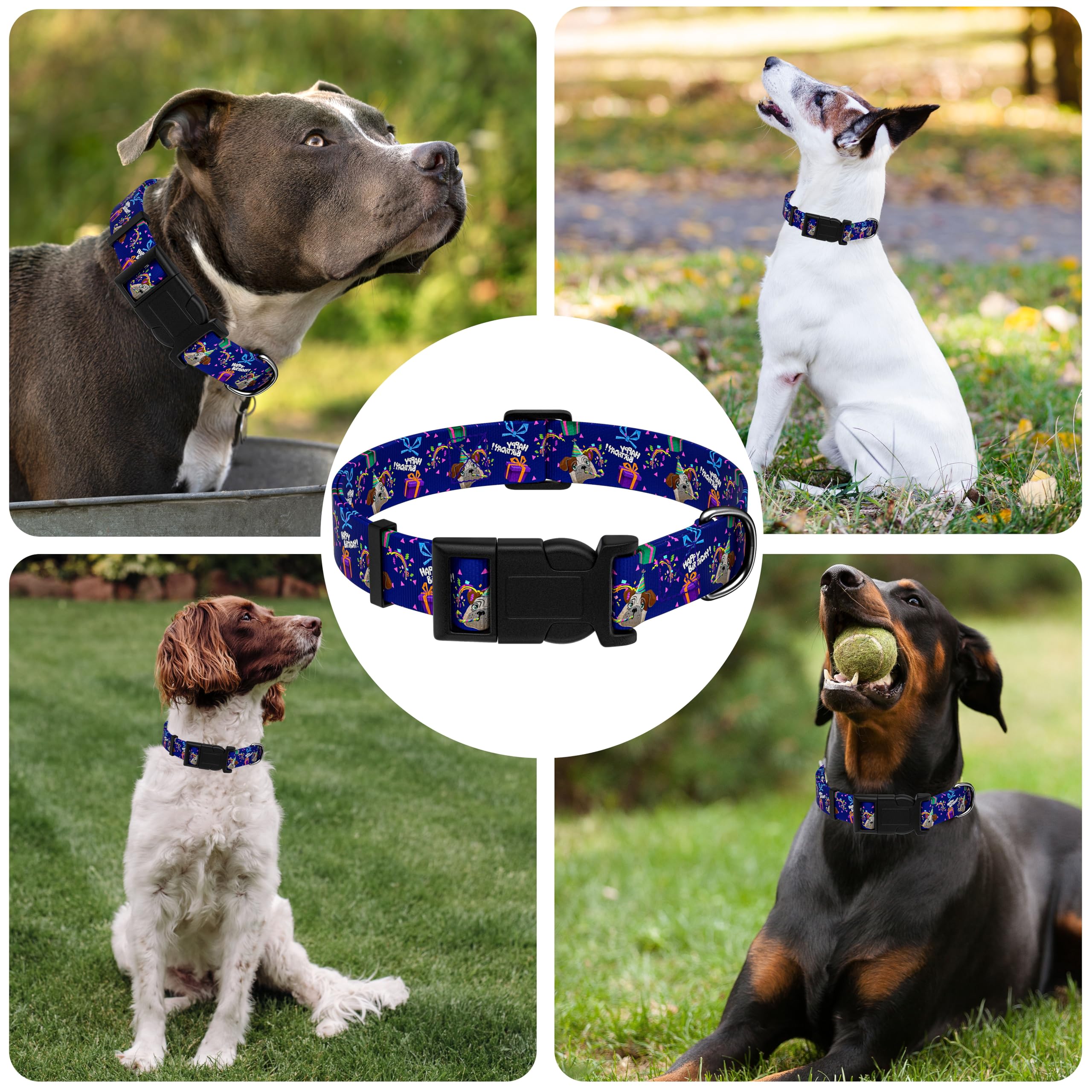 Seyezo Dog Collar, Classical Birthday Gift Boys Girls Puppy Collar For Small Medium Large Dogs, Adjustable Soft Pet Collar With