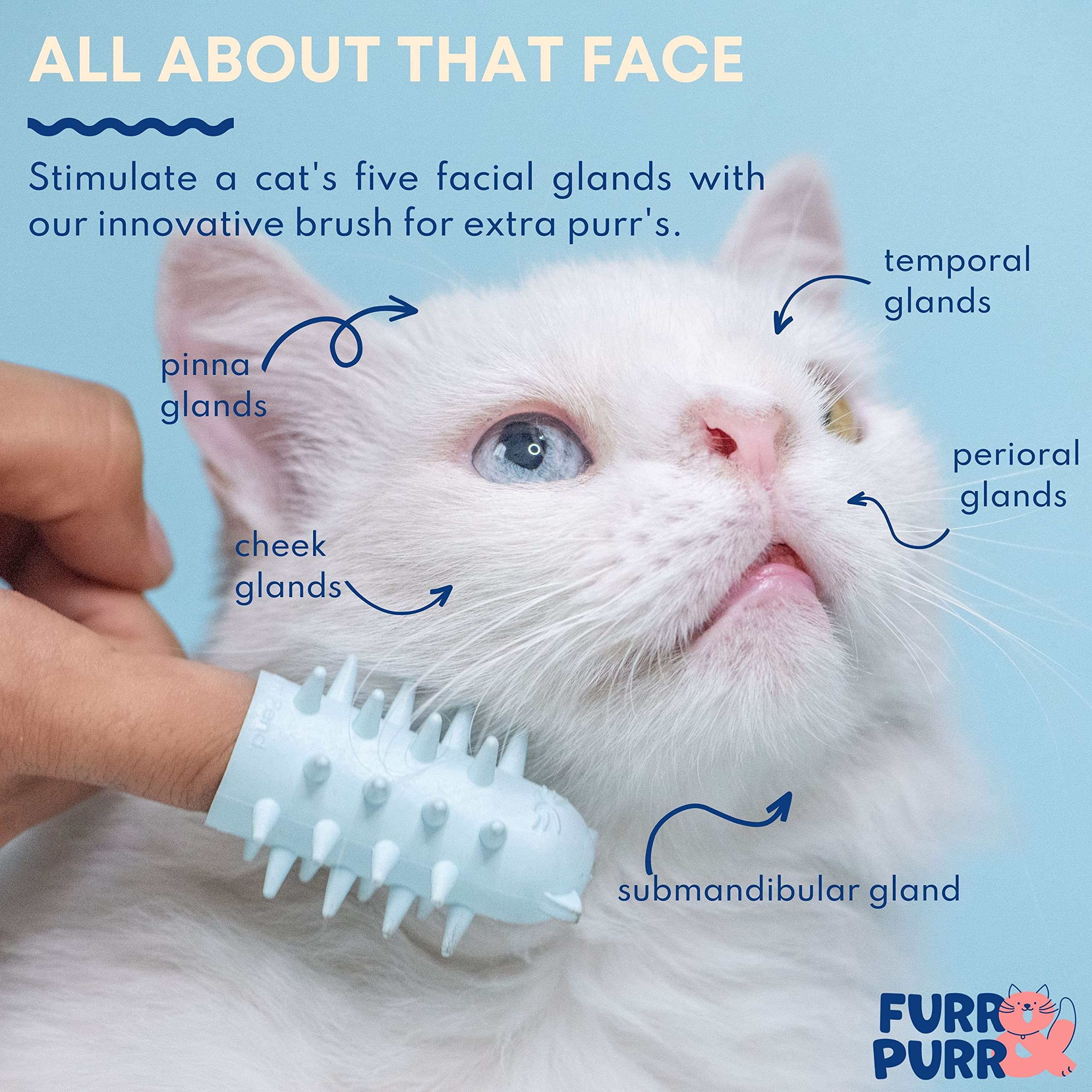 Furr&Purr Cat Brush Set For Indoor Cats - Grooming Tools: Face Scratcher, Calming Massager, And Scratching Pad (2-Pack, Made In The Usa)