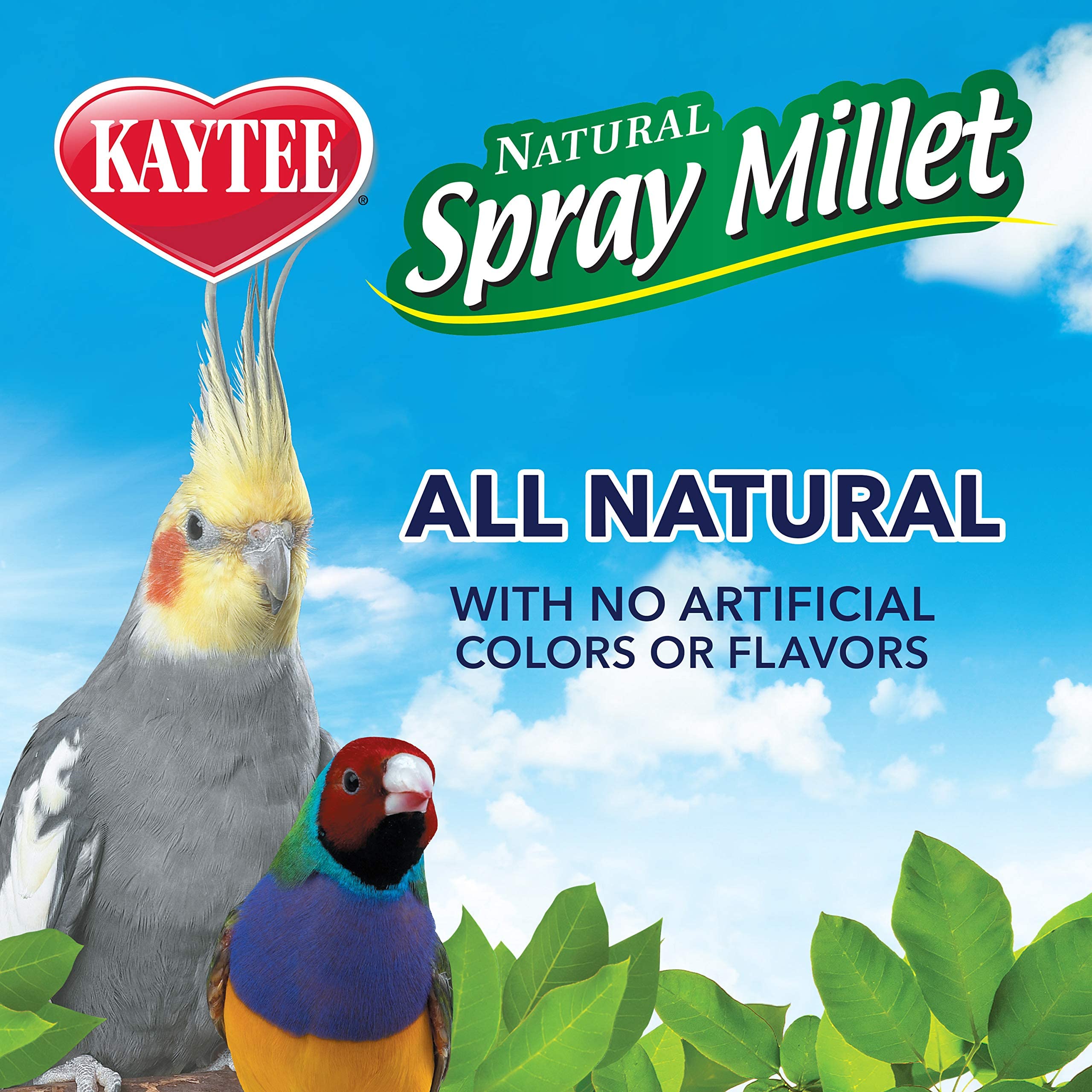 Kaytee Spray Millet Treat For Pet Birds, 3 Ounce