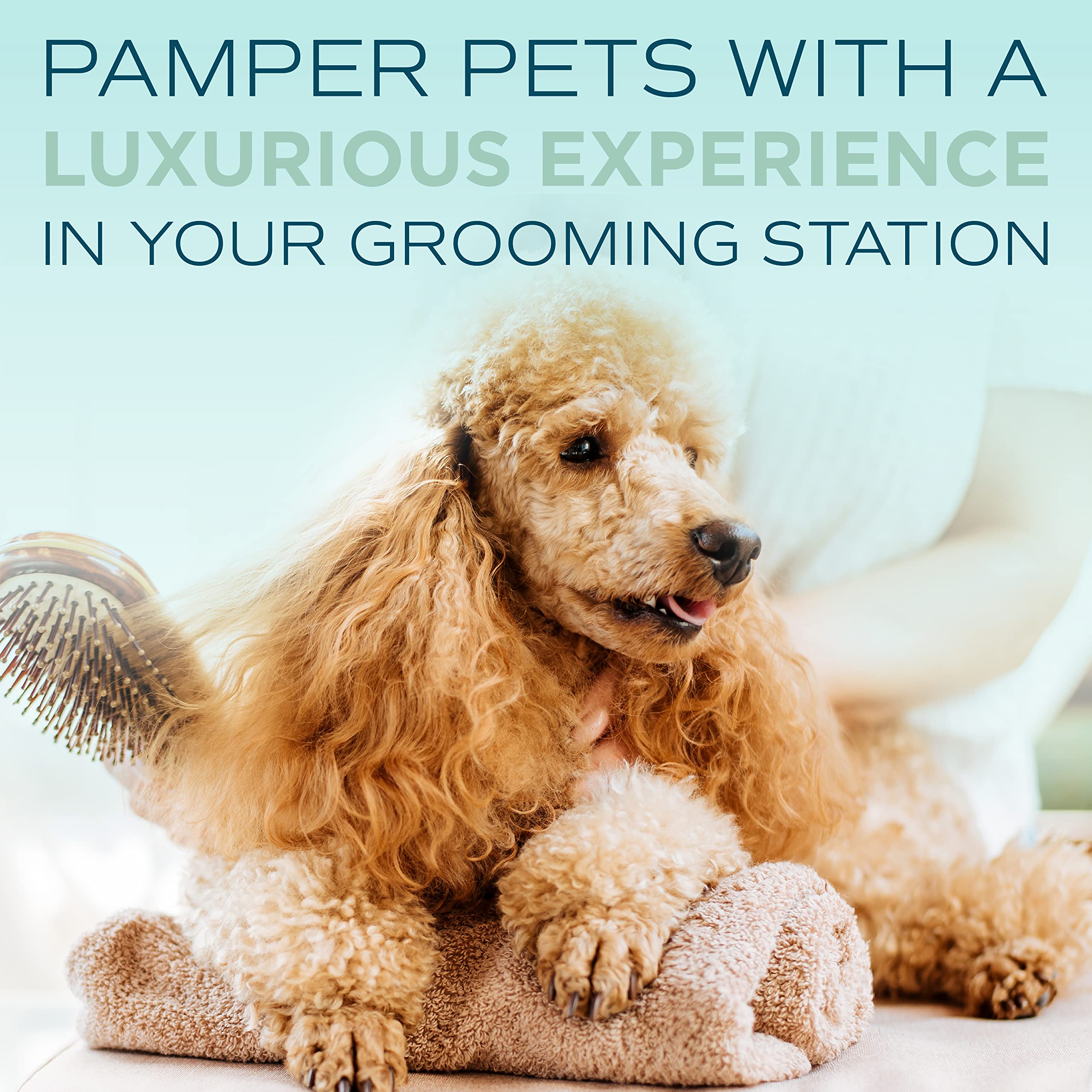 Tropiclean Spa Lavish Dog Shampoo | Fresh Scented Deodorizing Dog Shampoo | Naturally Derived Salon Grade Ingredients | Made In The Usa | 1 Gallon