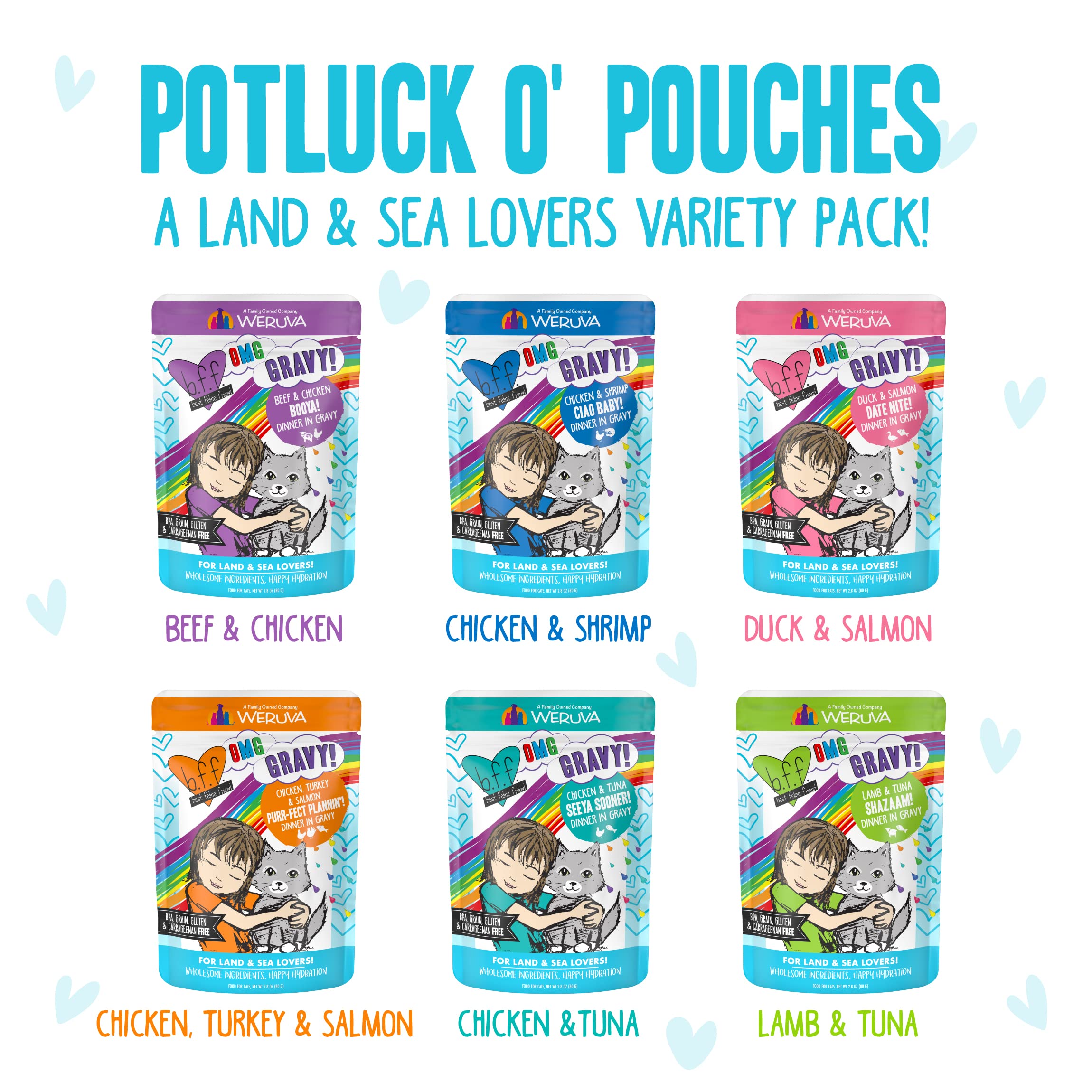 Weruva B.F.F. OMG - Best Feline Friend Oh My Gravy!, Variety Pack, Potluck O Pouches, Wet Cat Food, 2.8Oz Pouches (Pack of 12)
