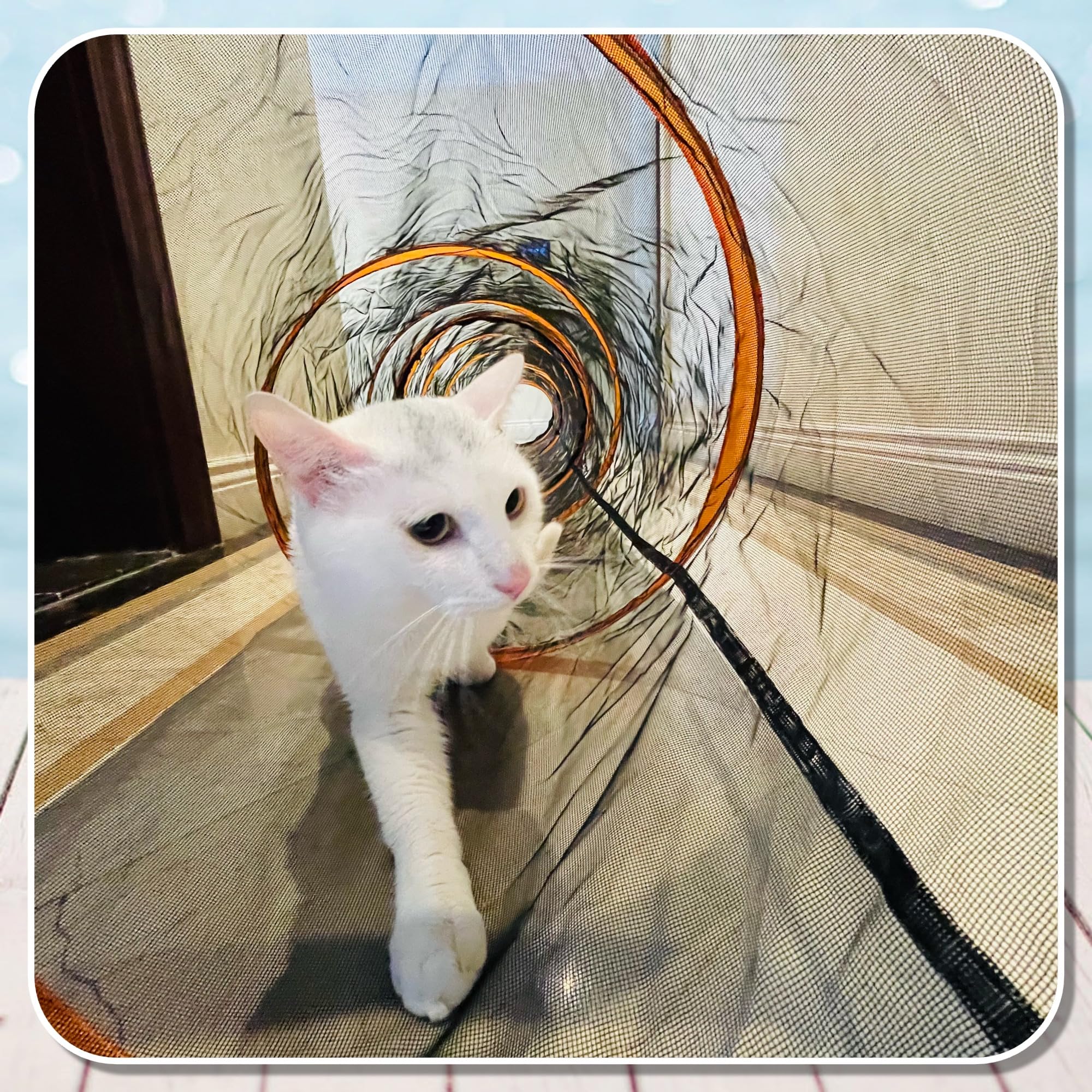 2 Pack Outdoor Indoor Pet Tunnel, Easy Assembly Pop-Up Mesh Cat Play Toy, Portable Foldable Soft Enclosure For Kitty Puppy Rabbi