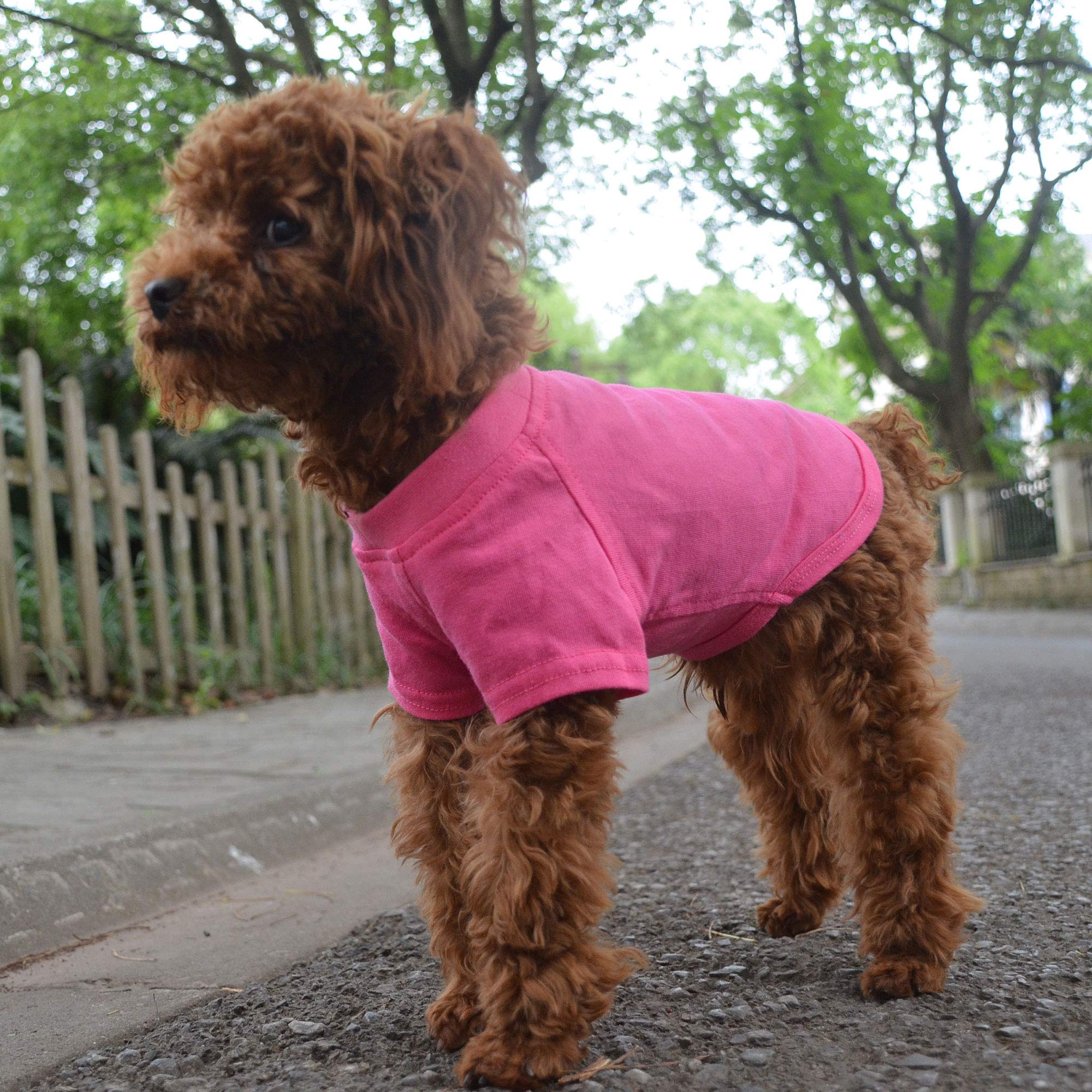 Lovelonglong 2019 Pet Clothing Dog Costumes Basic Blank T-Shirt Tee Shirts For Small Dogs Rosered L