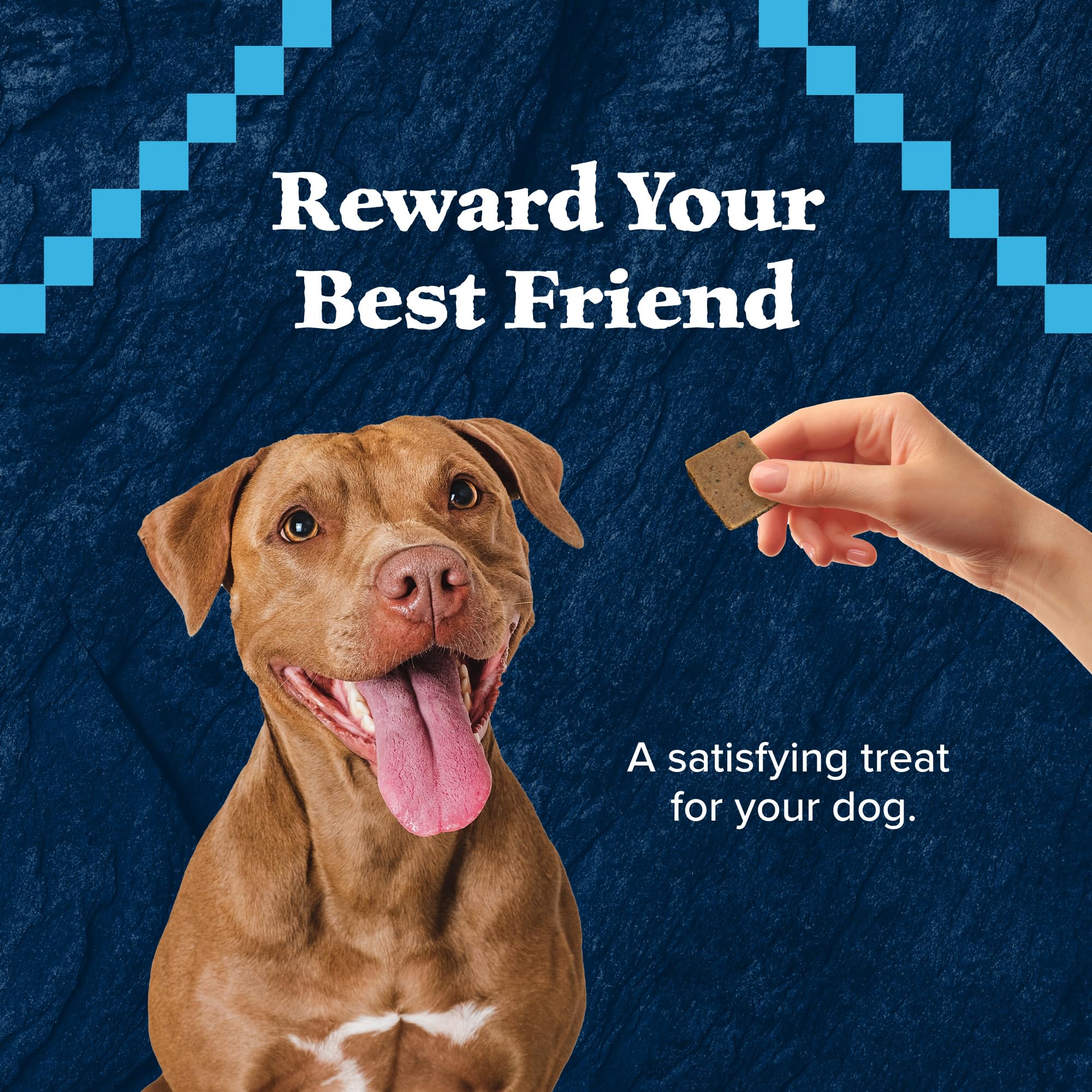 Blue Buffalo Wilderness Grain-Free and High-Protein Dog Treats Made with Natural Ingredients Chicken