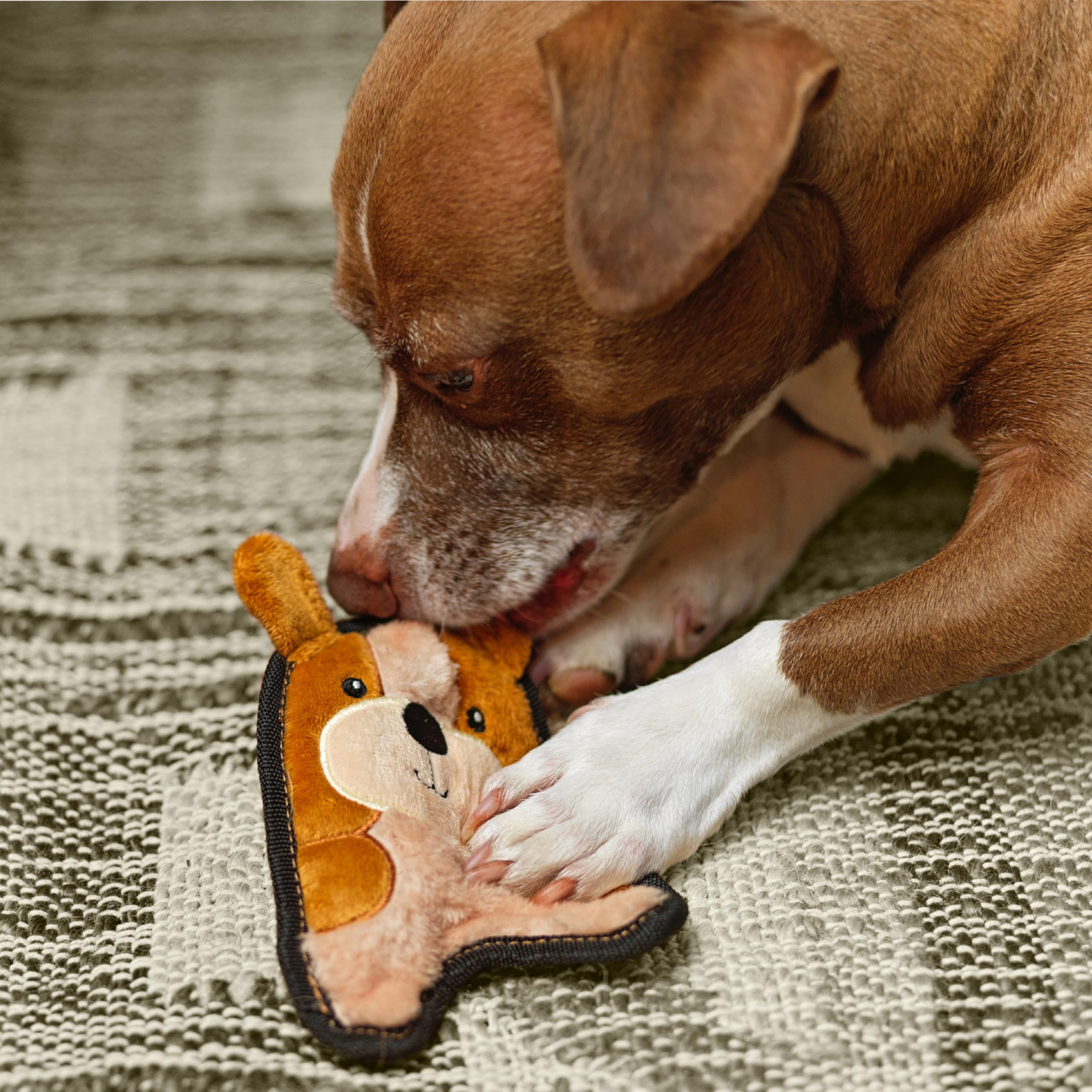 Outward Hound Durablez Tough Plush Squeaky Dog Toy, Puppy, Brown, Xs