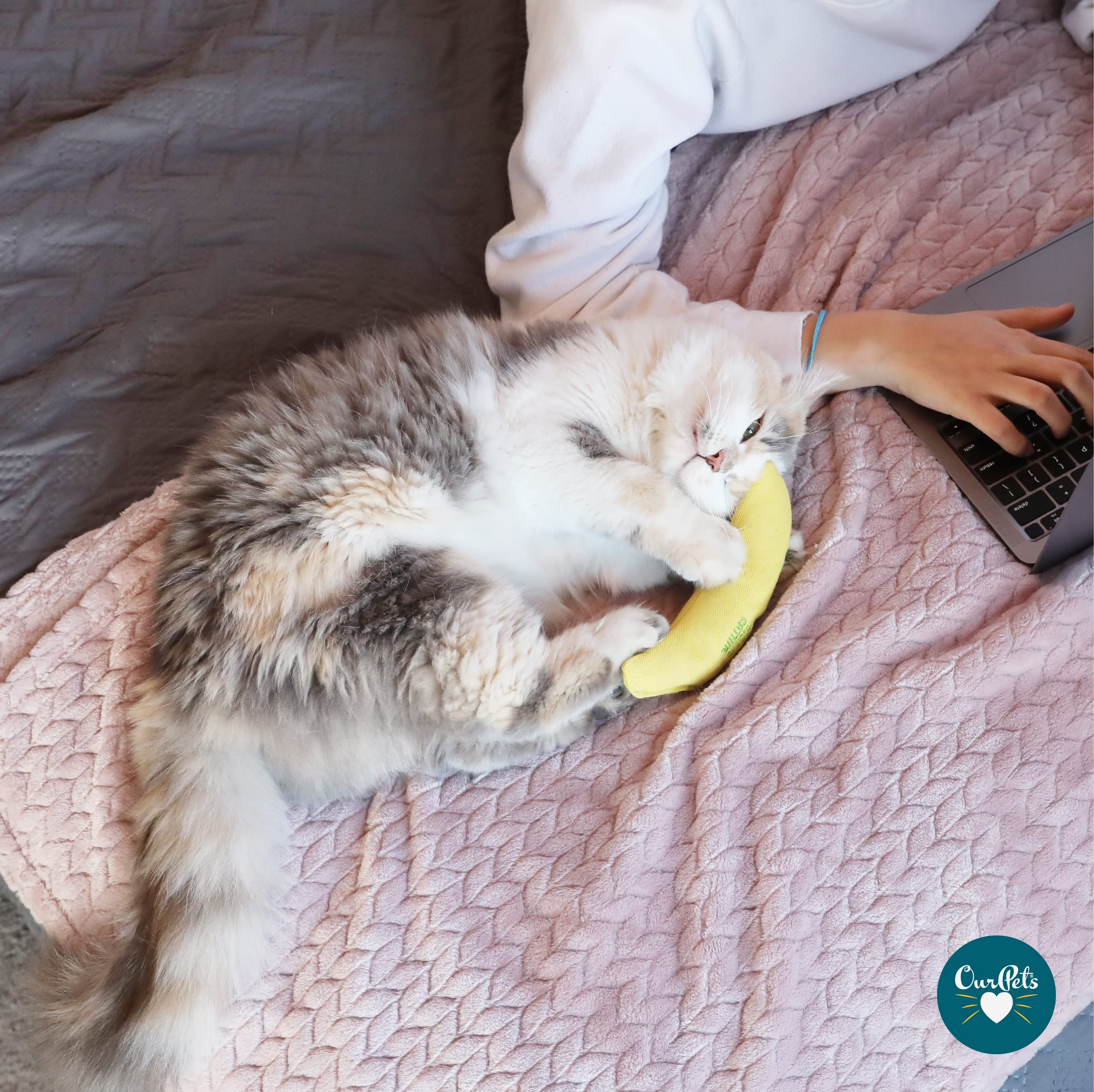 100% Catnip Filled Cat Toy (Set Of 2) Style: Yellow