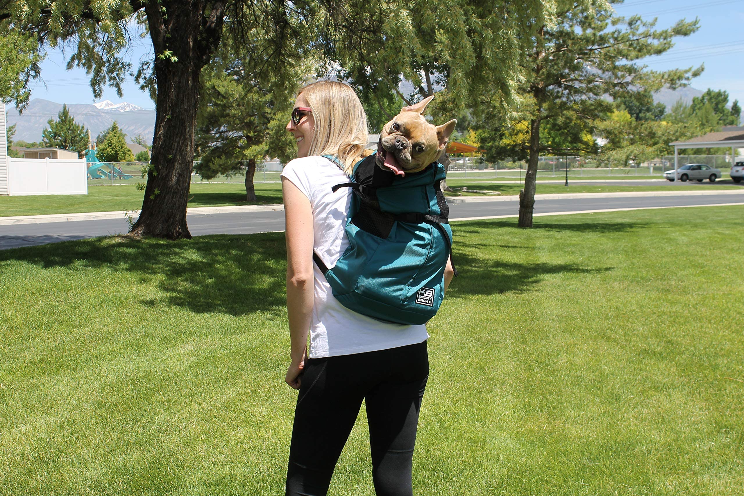 K9 Sport Sack Trainer | Dog Carrier Dog Backpack For Pets (Large, Eclipse)