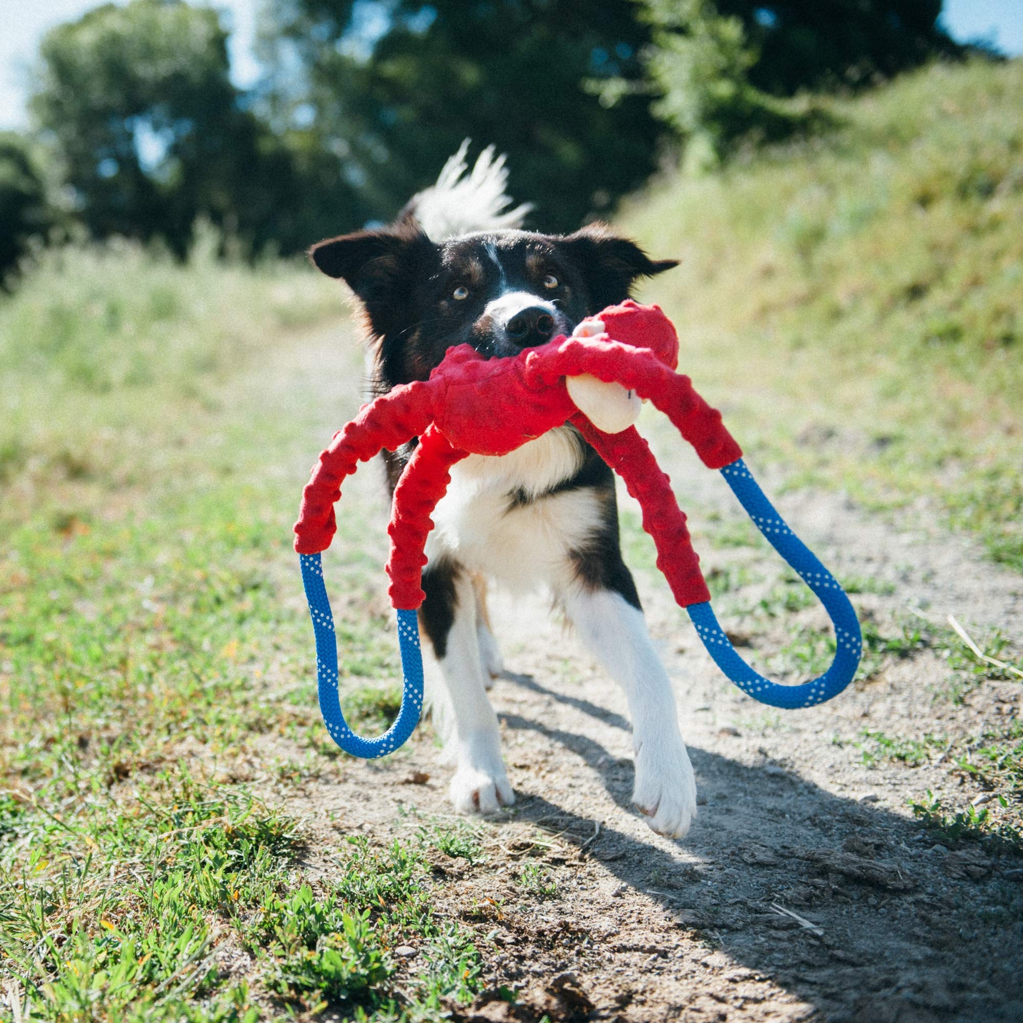 ZippyPaws RopeTugz Red Monkey Dog Toy - Durable Plush, Squeaky Chew for Tug of War - 28x5x5 in, Suitable for All Breeds