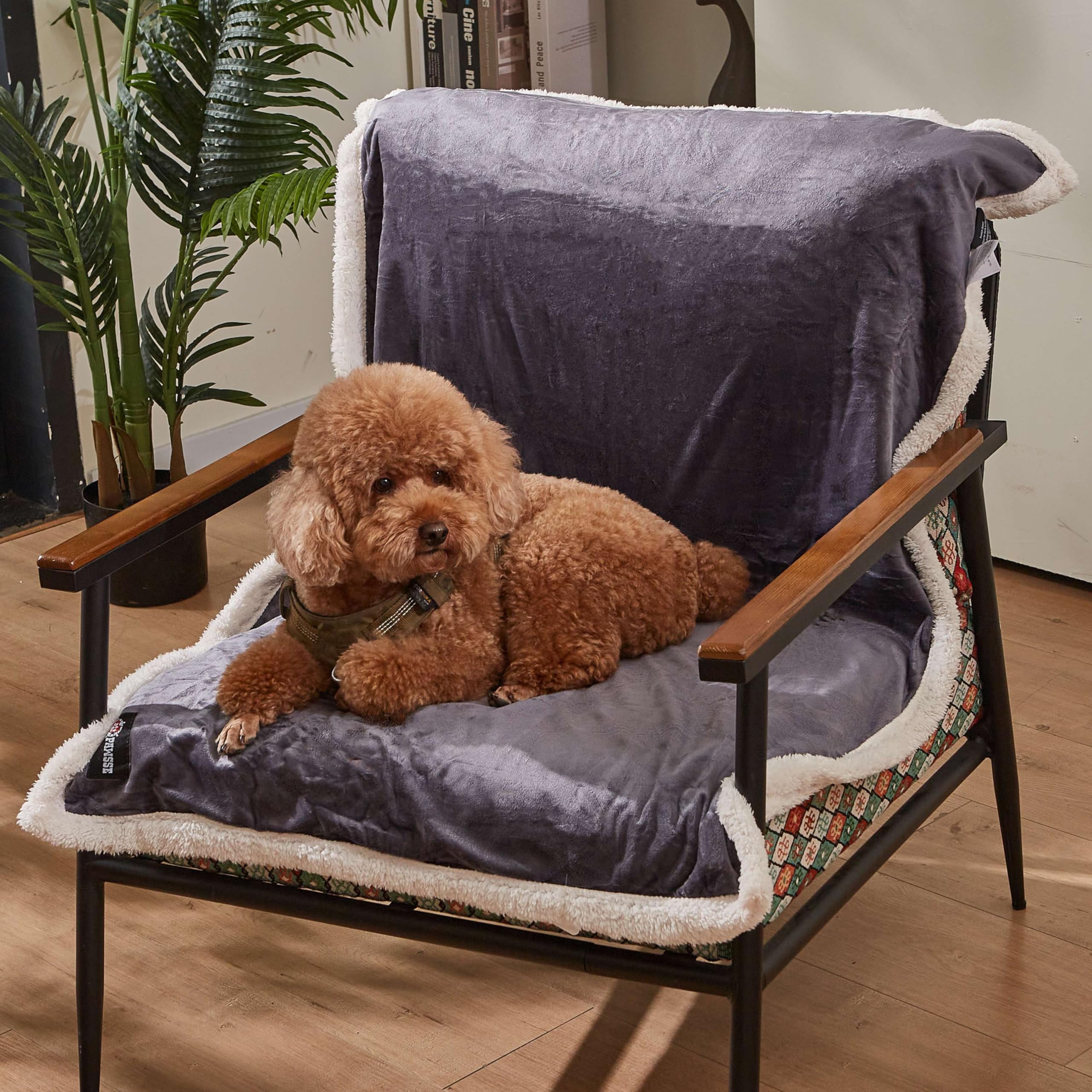 Puppy Blanket, Super Soft Sherpa Dog Blankets And Throws Cat Fleece Sleeping Mat For Pet Small Animals 45X30 Grey