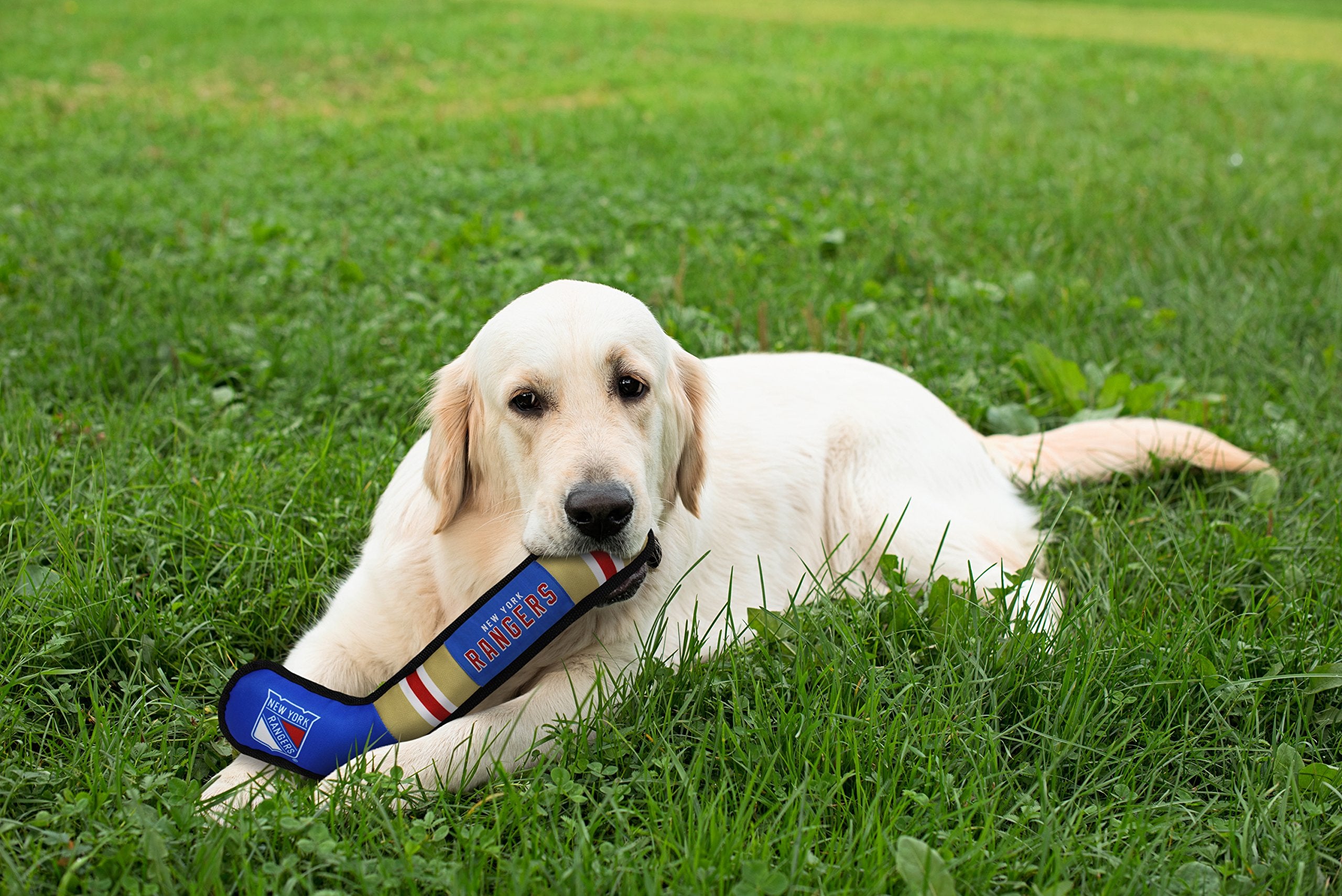Pets First Nhl New York Rangers Stick Toy For Dogs & Cats. Play Hockey With Your Pet With This Licensed Dog Tough Toy Reward!, 1