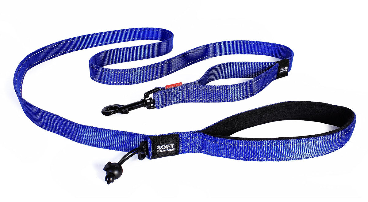 Ezydog Soft Trainer Dog Leash With Traffic Control Handle - Reflective Stitching For Nighttime Safety And Superior Strength And Comfortability For Training Small Dogs (Under 26 Lbs) (72”, Blue)