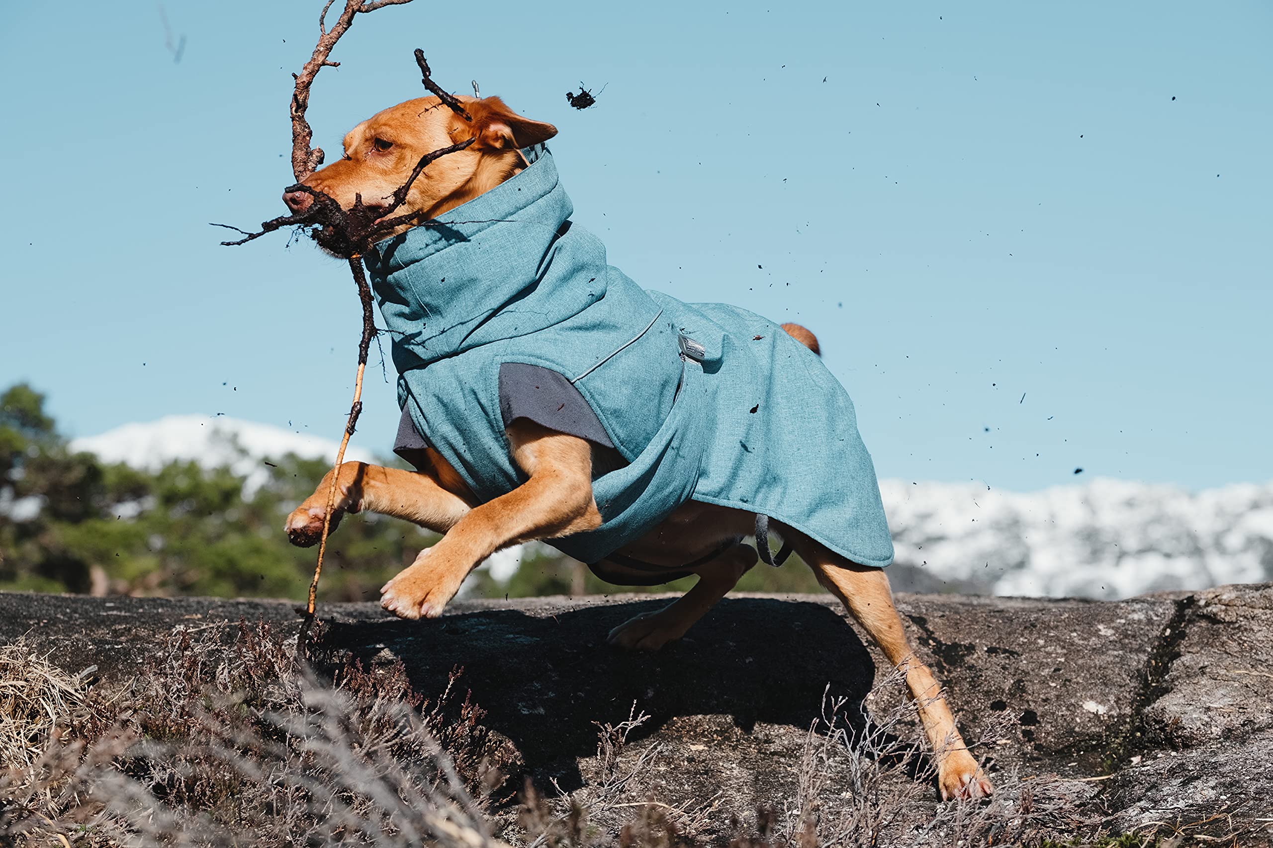 Hurtta Expedition Parka, Winter Dog Coat, Bilberry, 12Xl