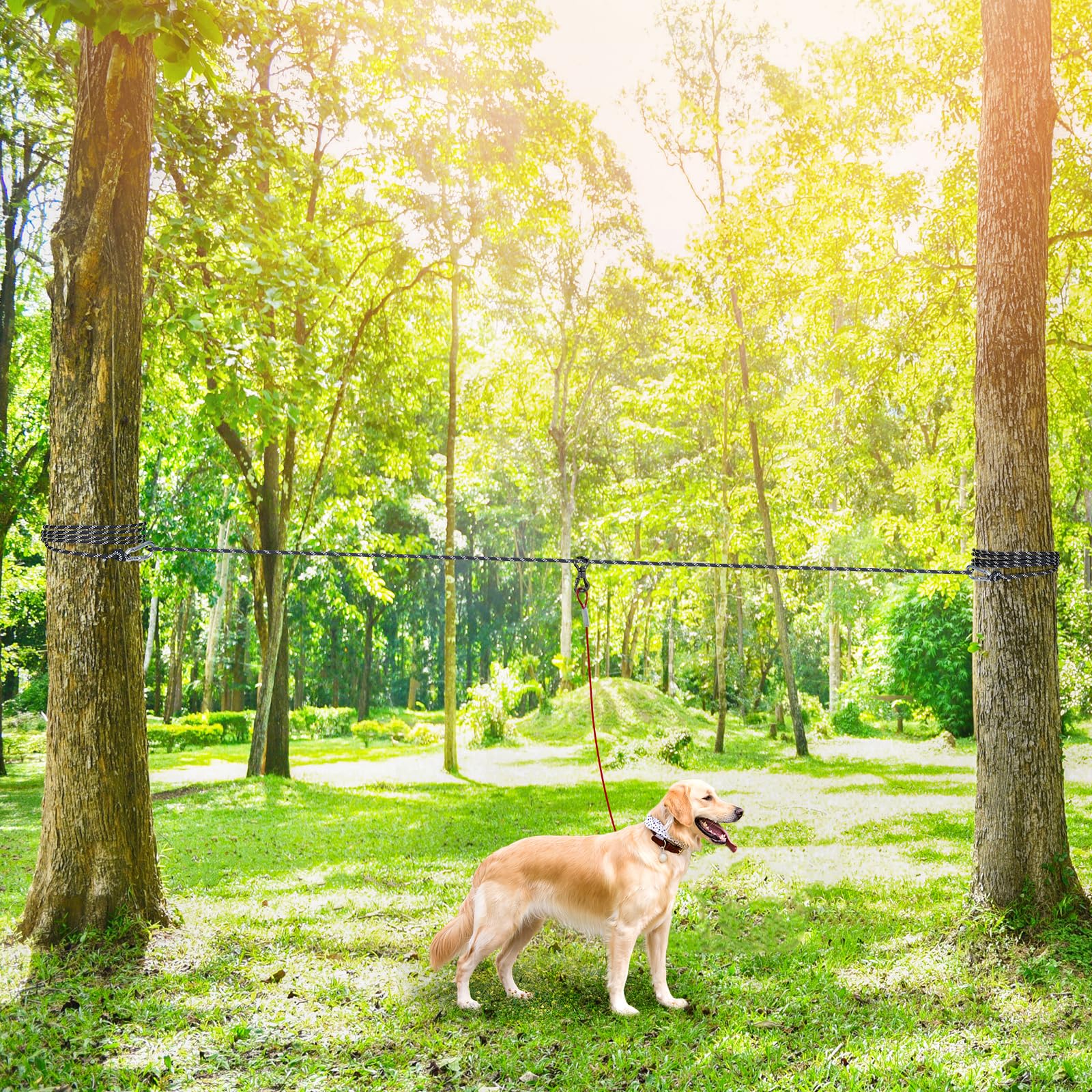 XiaZ 50ft Dog Camping Leash - Portable Overhead Trolley System for Dogs up to 200lbs, Black, Ideal for Camping, Parks, and Outdoor Events