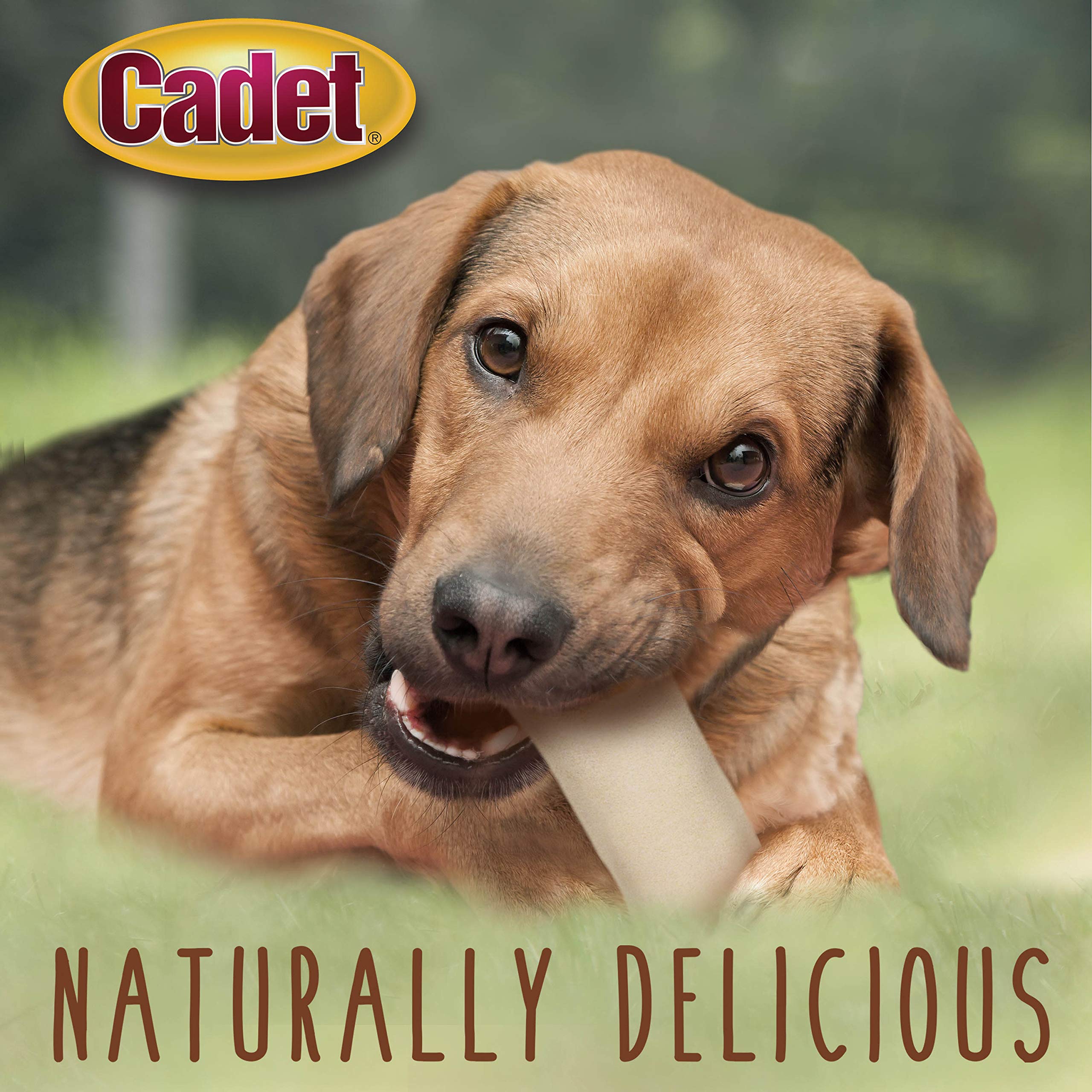 Cadet Premium Grade Beef Hide for Dogs, Rawhide Long Lasting Dog Chews, Chips, Curls & Rolls for Small/Medium/Large Dogs