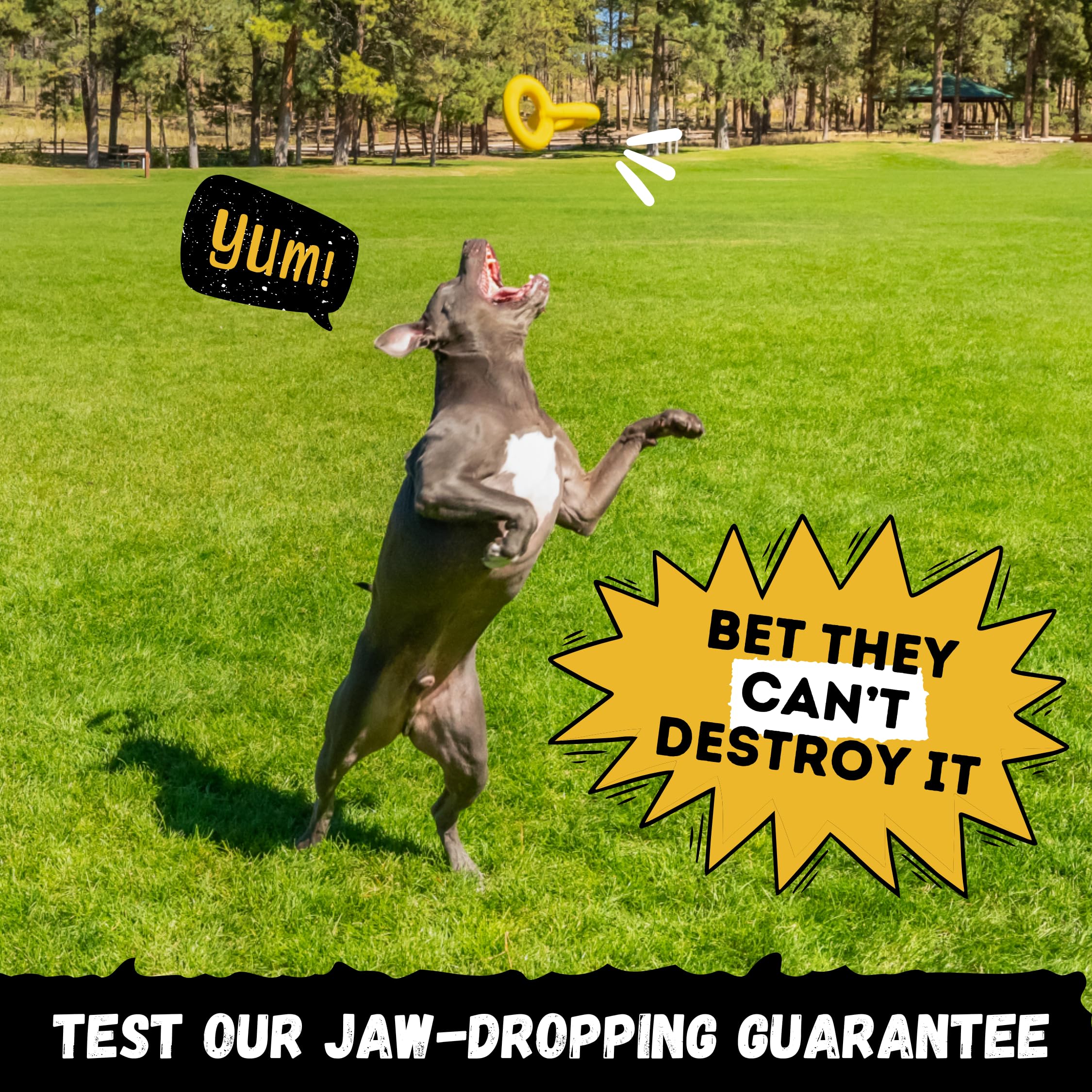WoofBite Indestructible Tug Rings - Lifetime Replacement - Aggressive Chewers, Medium Large Breed - Non-Toxic Natural Rubber Dog
