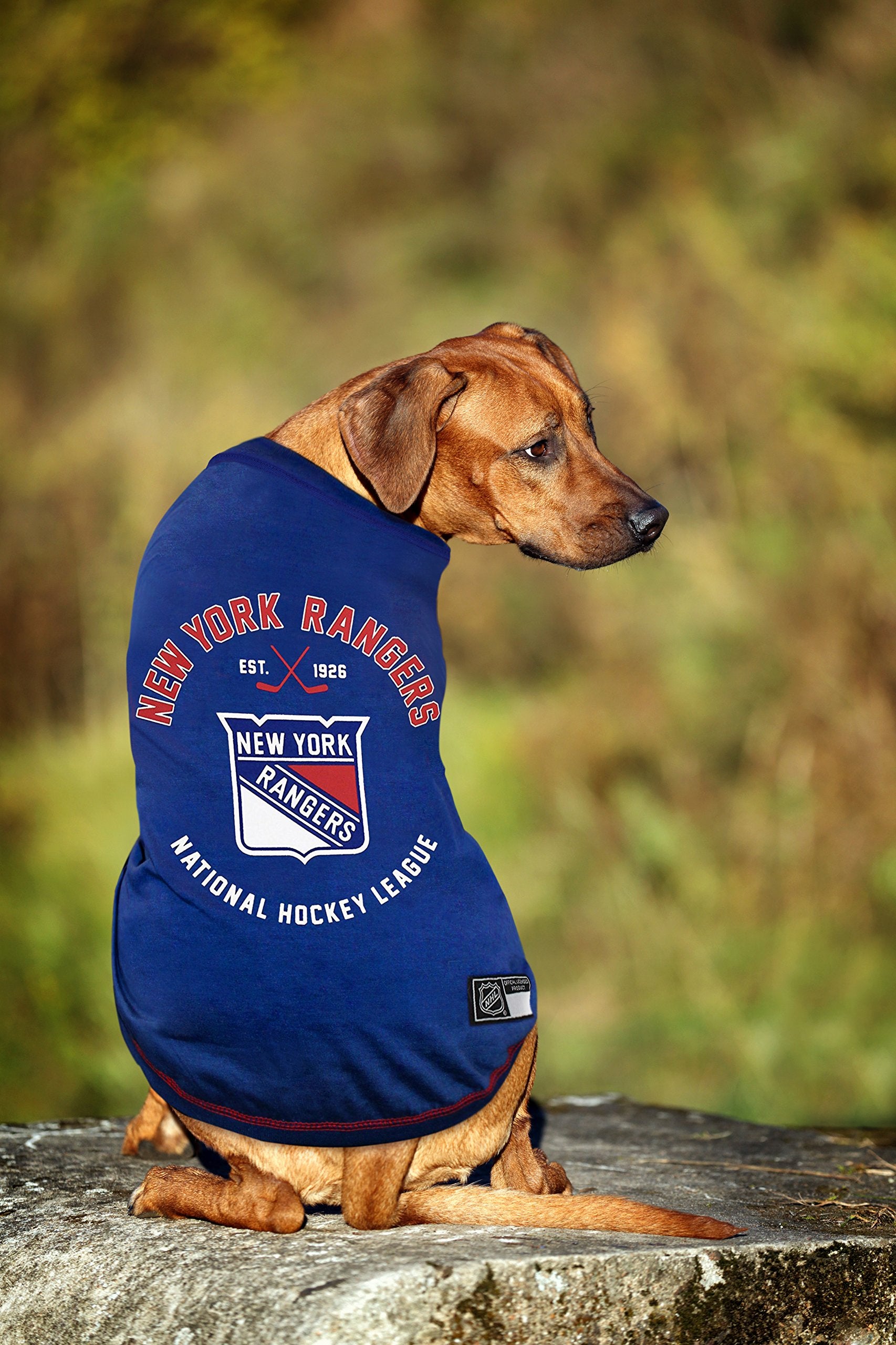 NHL NEW YORK RANGERS Tee Shirt for DOGS & CATS, Small. - Are you a HOCKEY FAN? Let your Pet be an NHL FAN too!